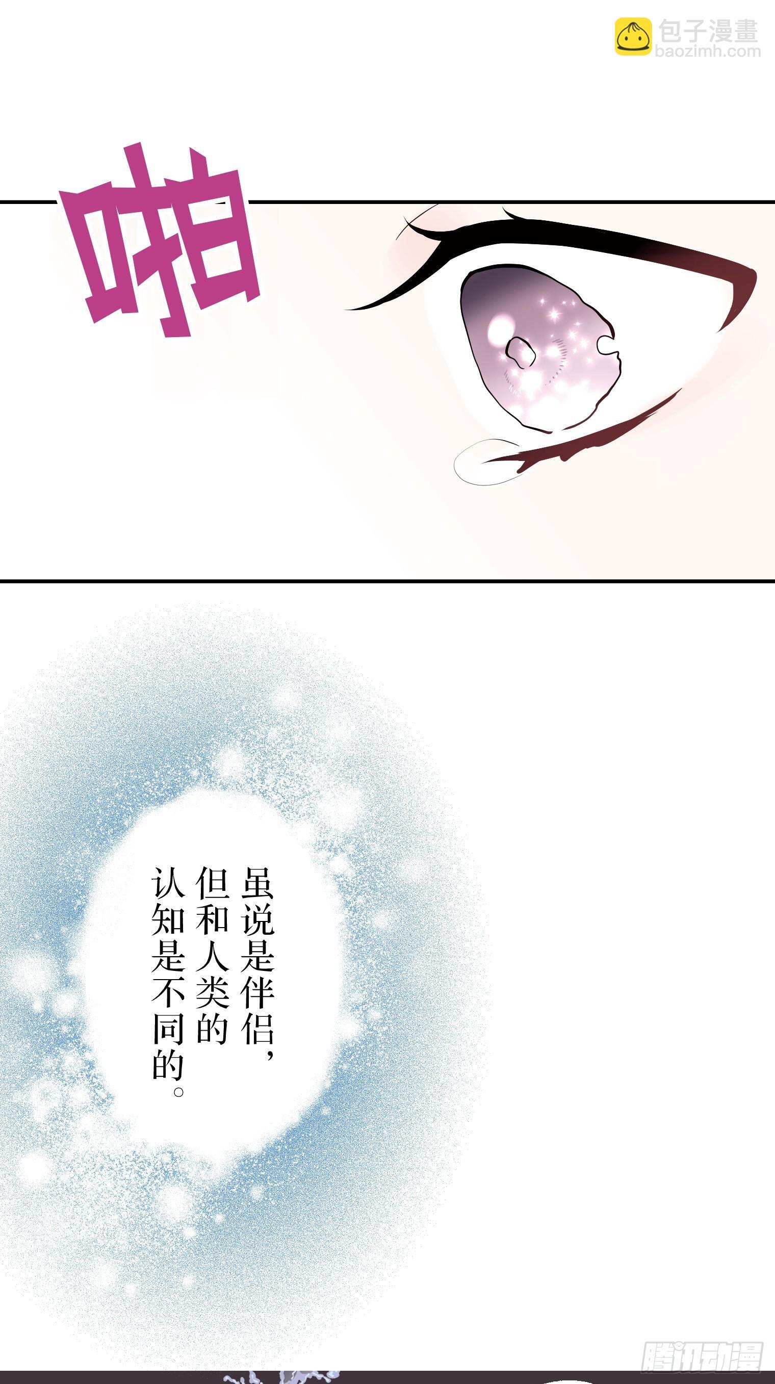 29 第52页
