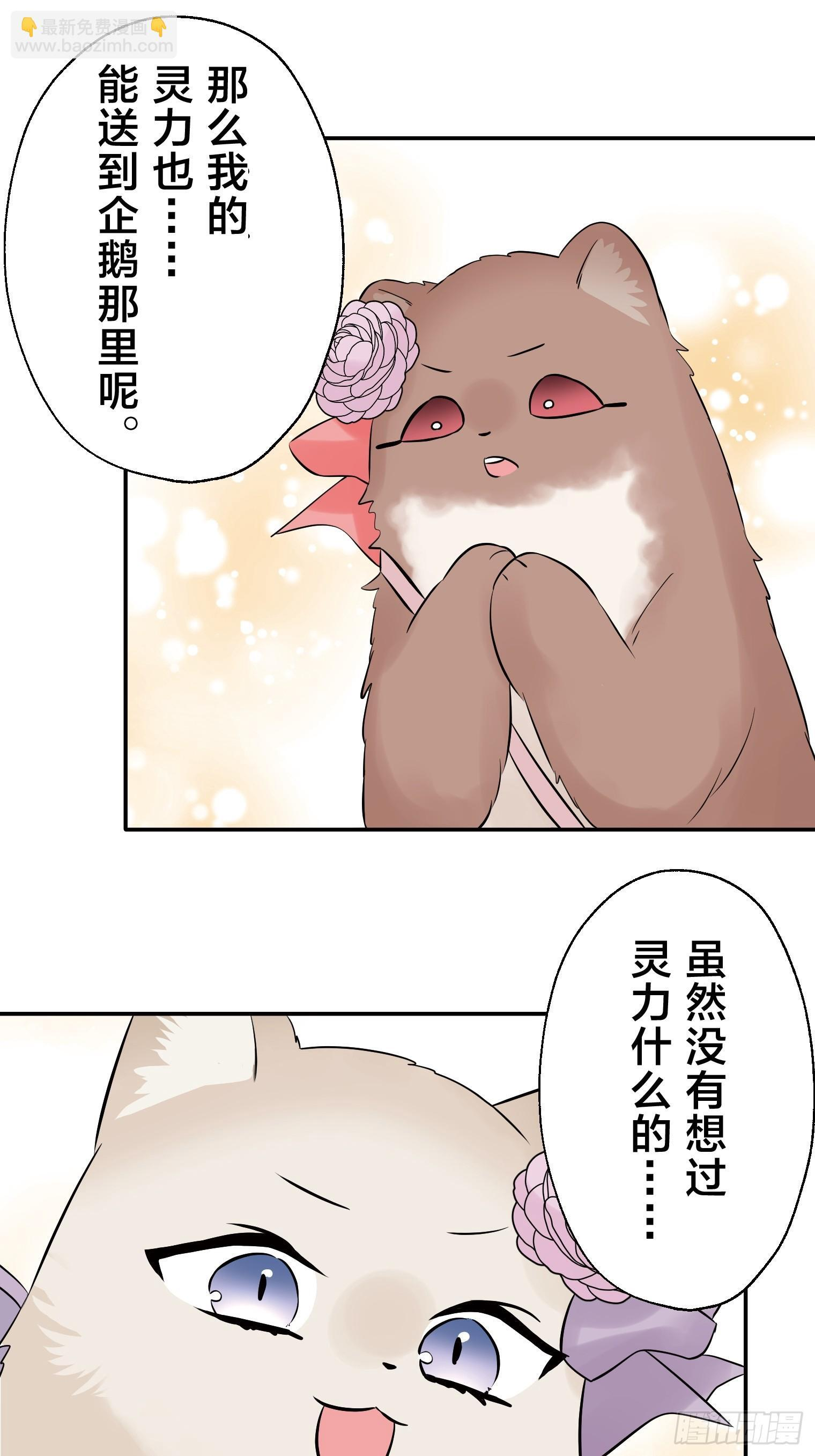 30 第10页