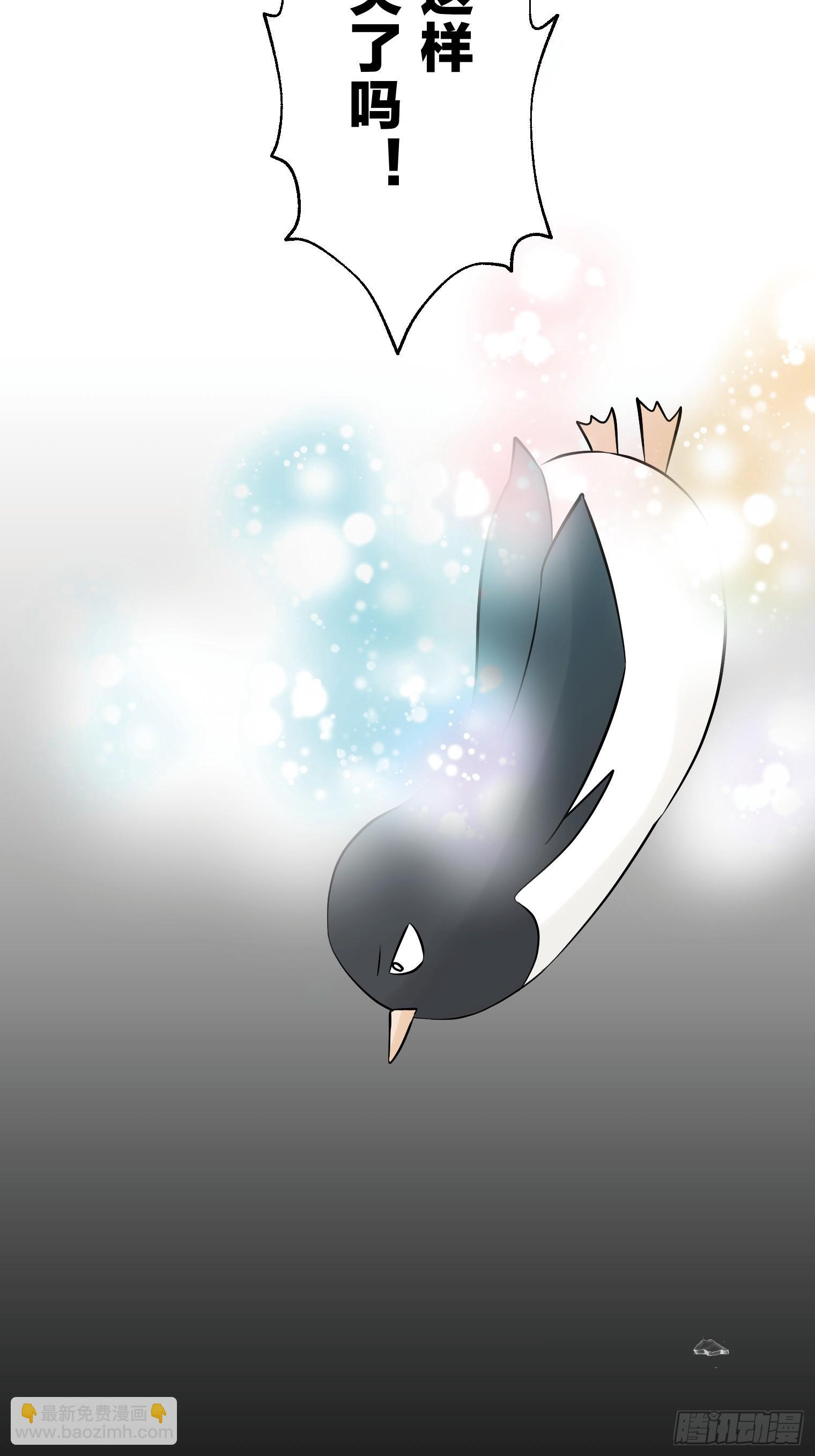 32 第41页