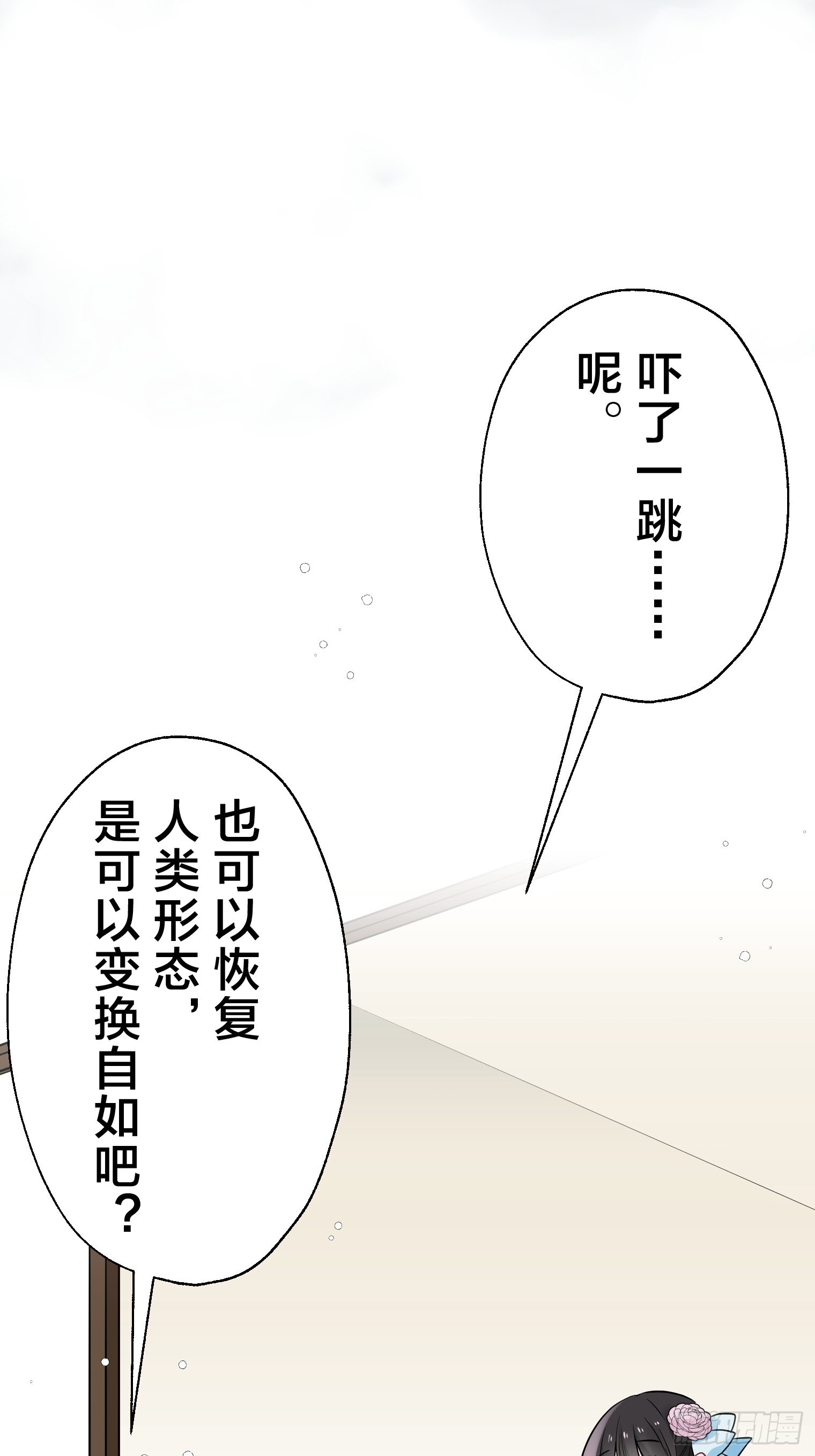 33 第33页