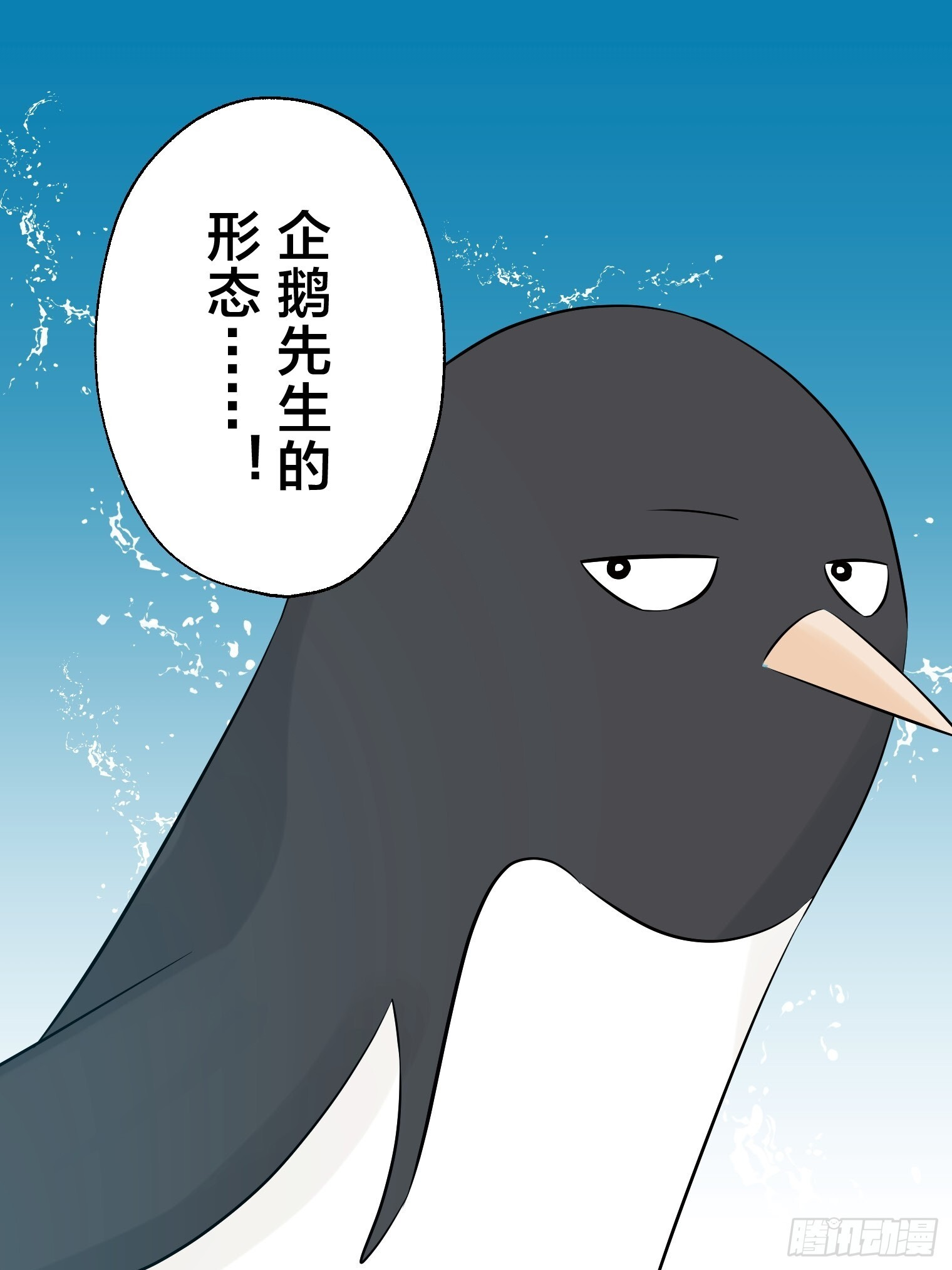 33 第51页