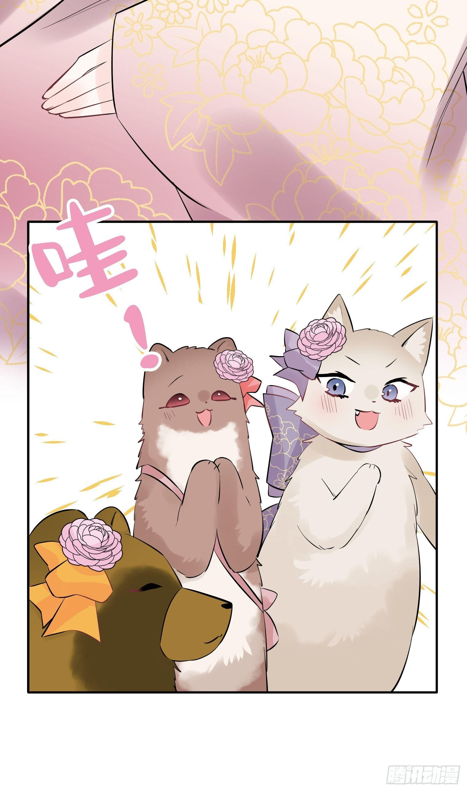 35 第18页