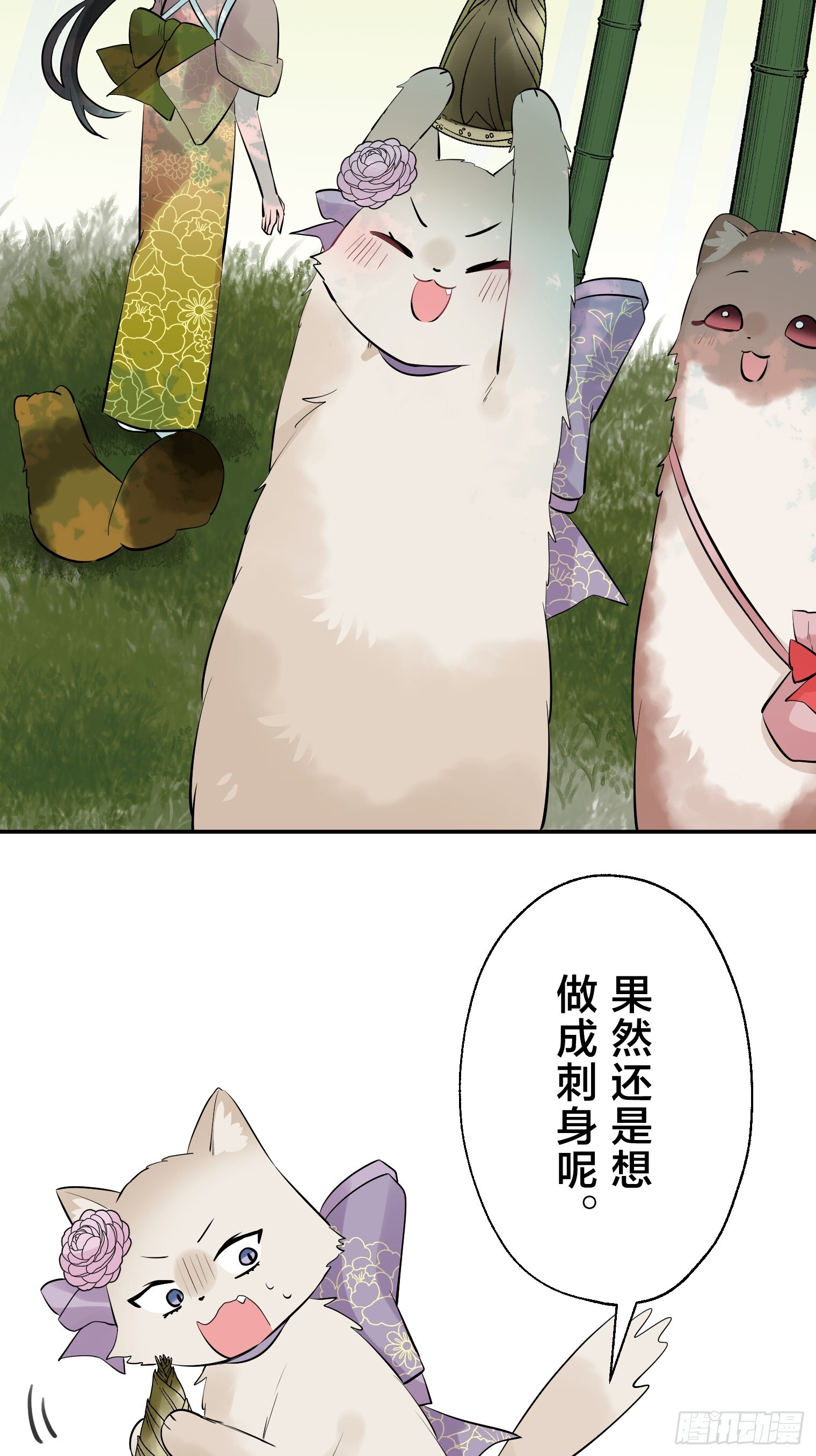 35 第21页