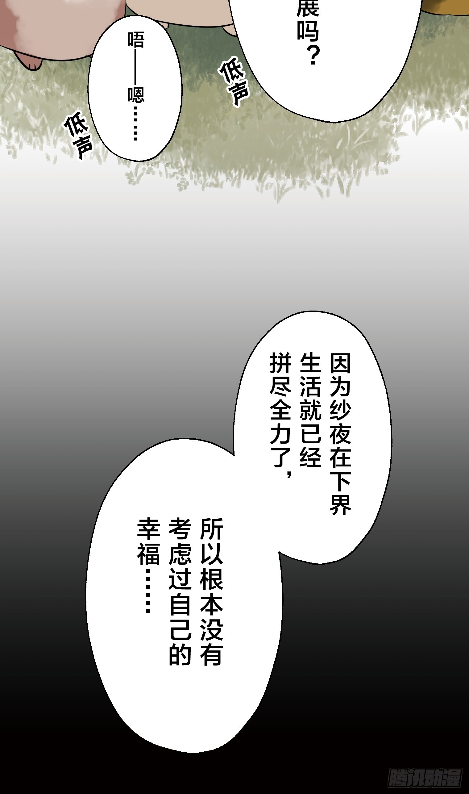 35 第41页