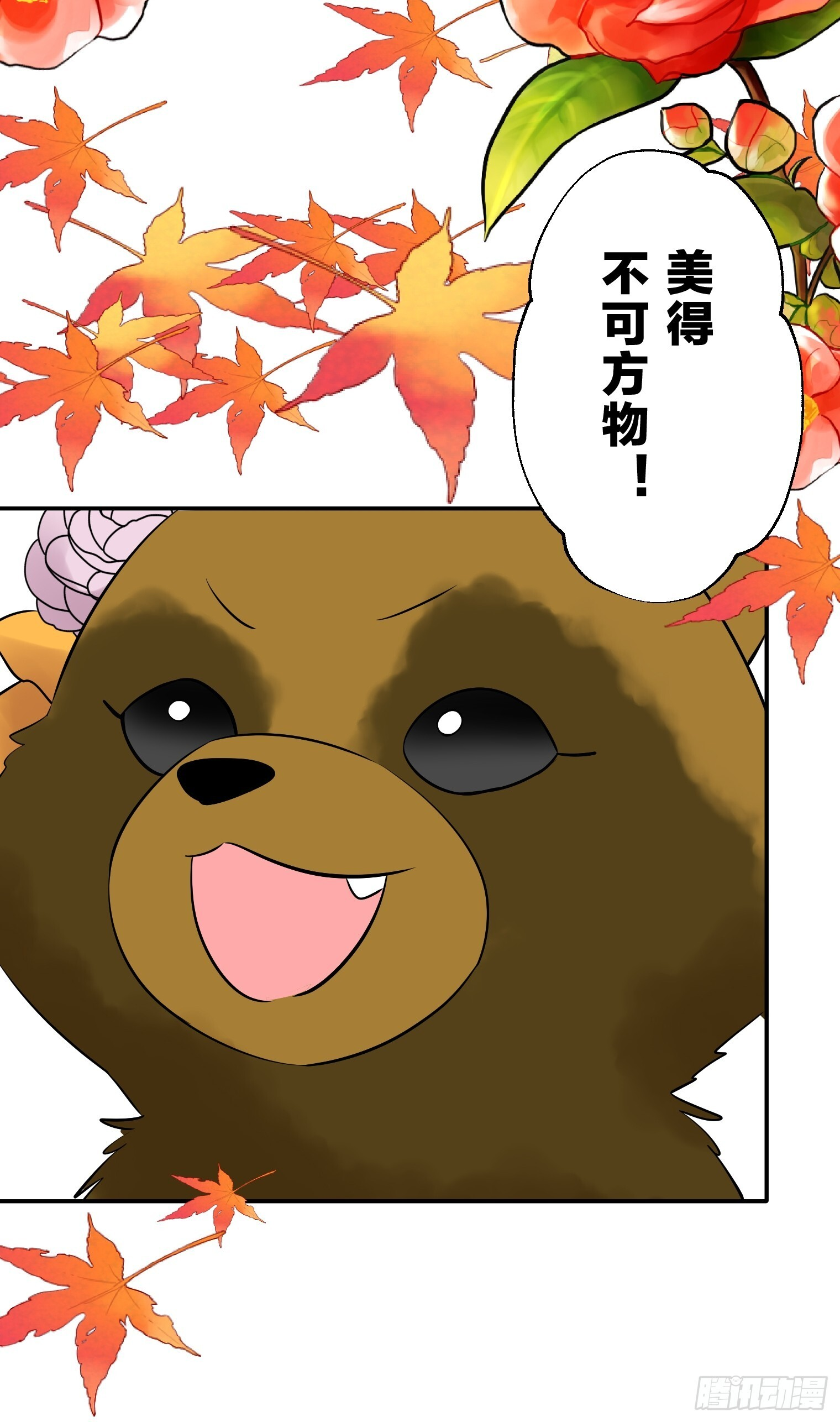 37 第11页
