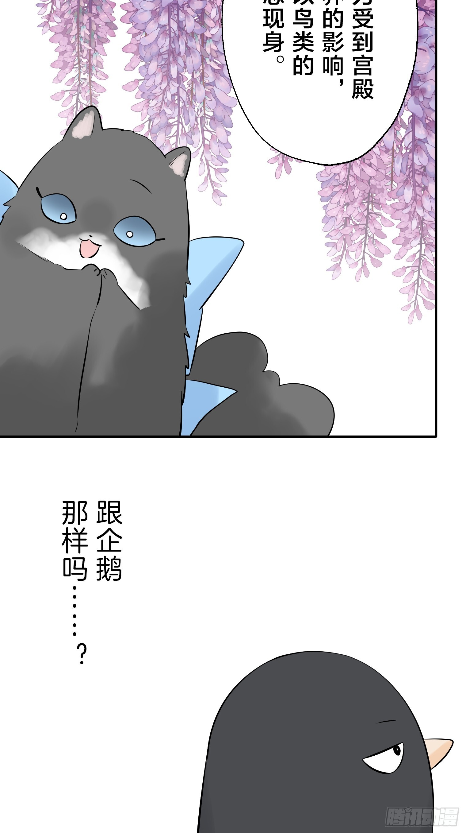 37 第17页