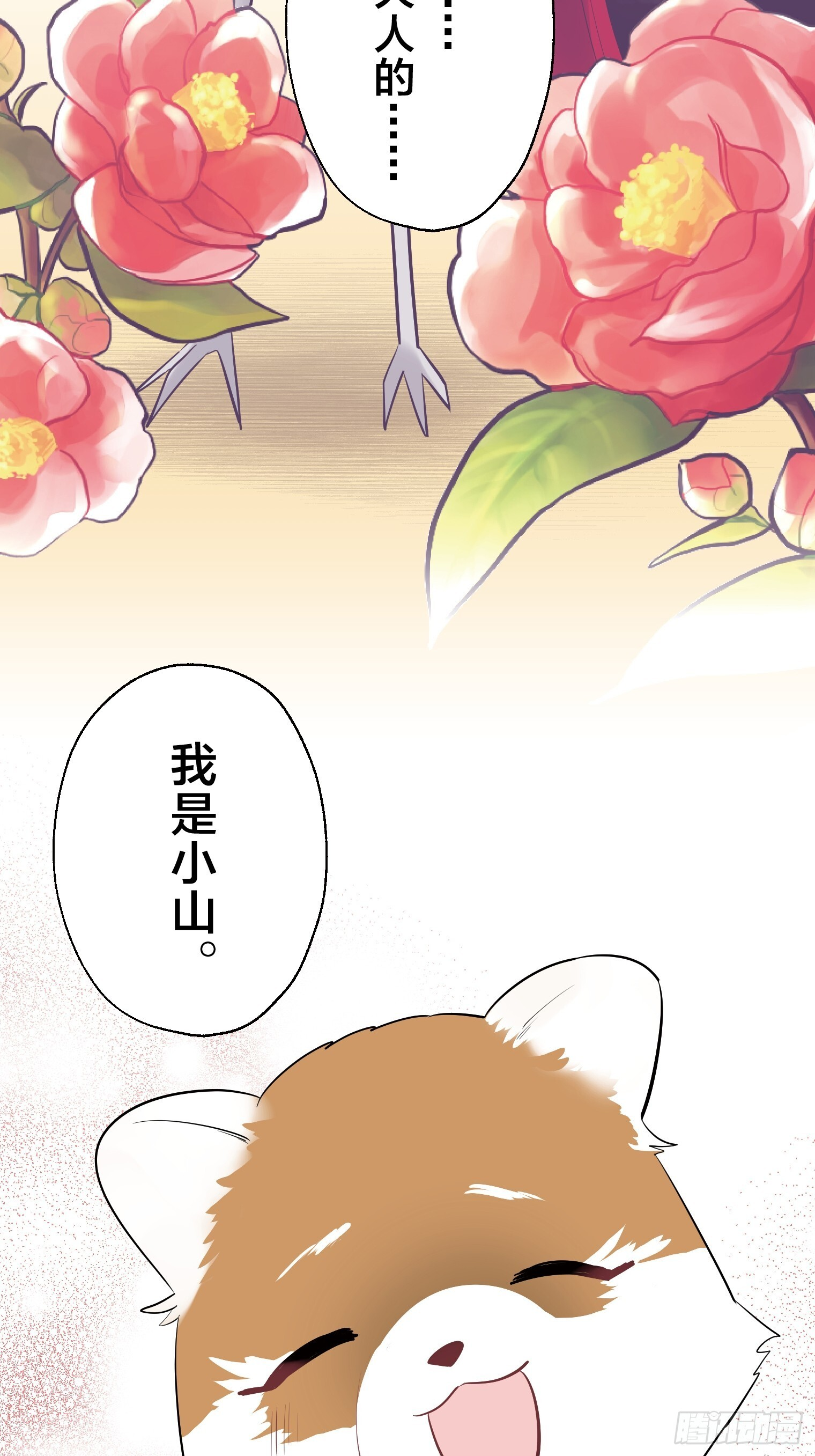 40 第3页