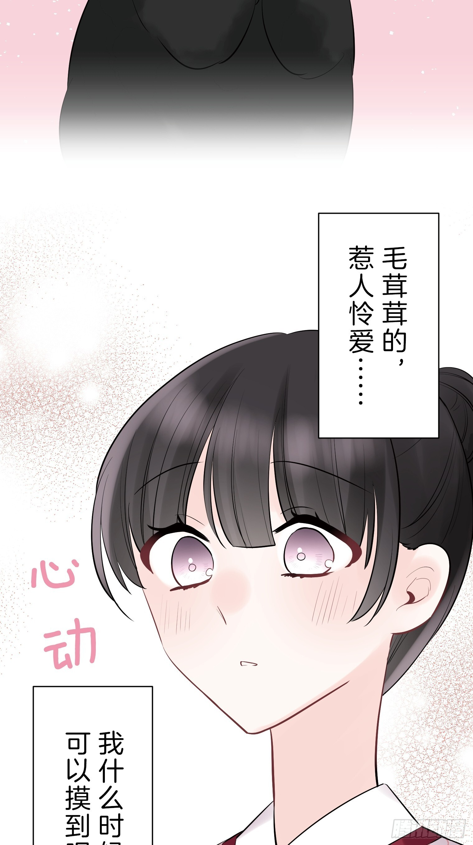 40 第11页