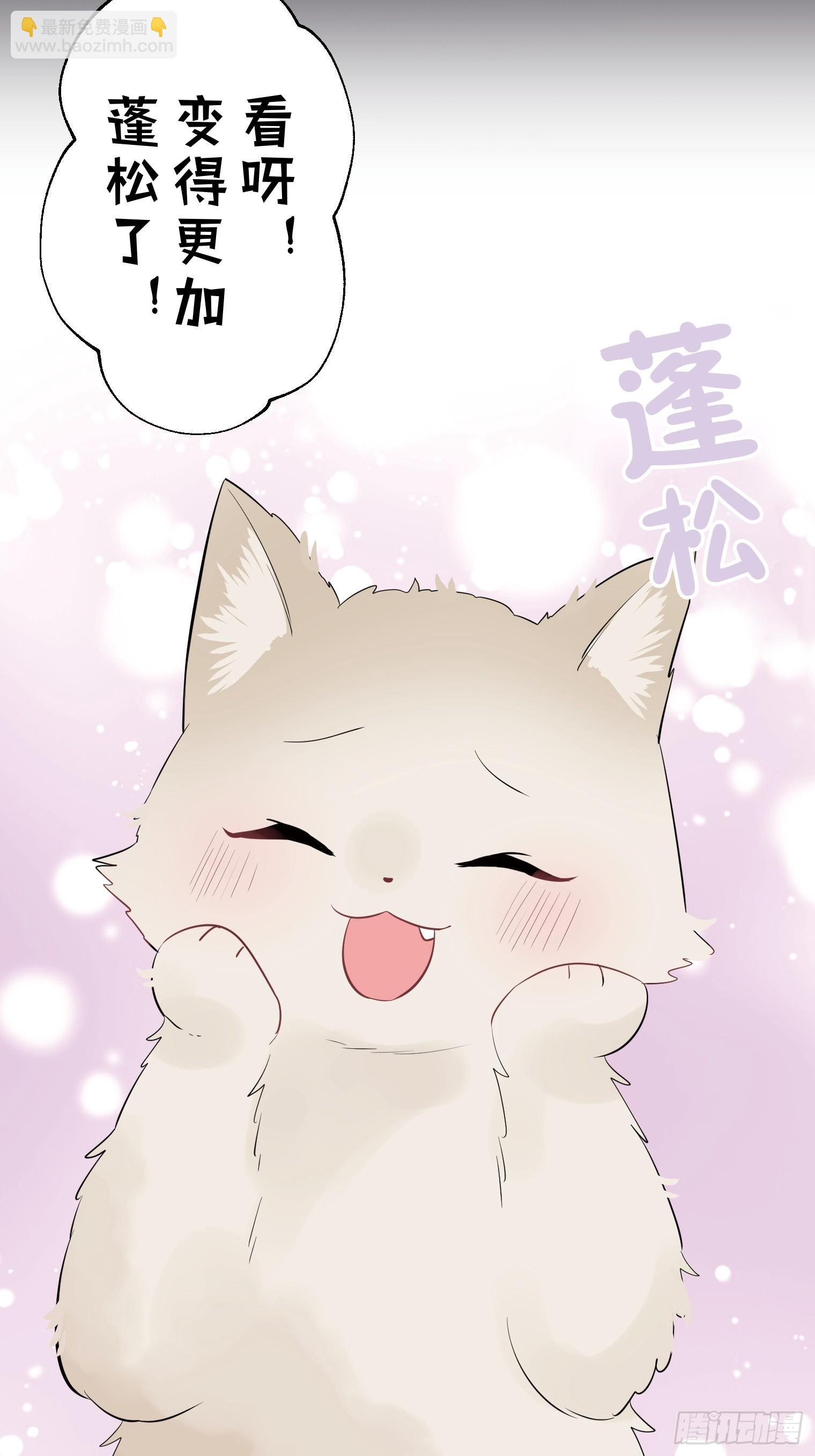 41 第3页