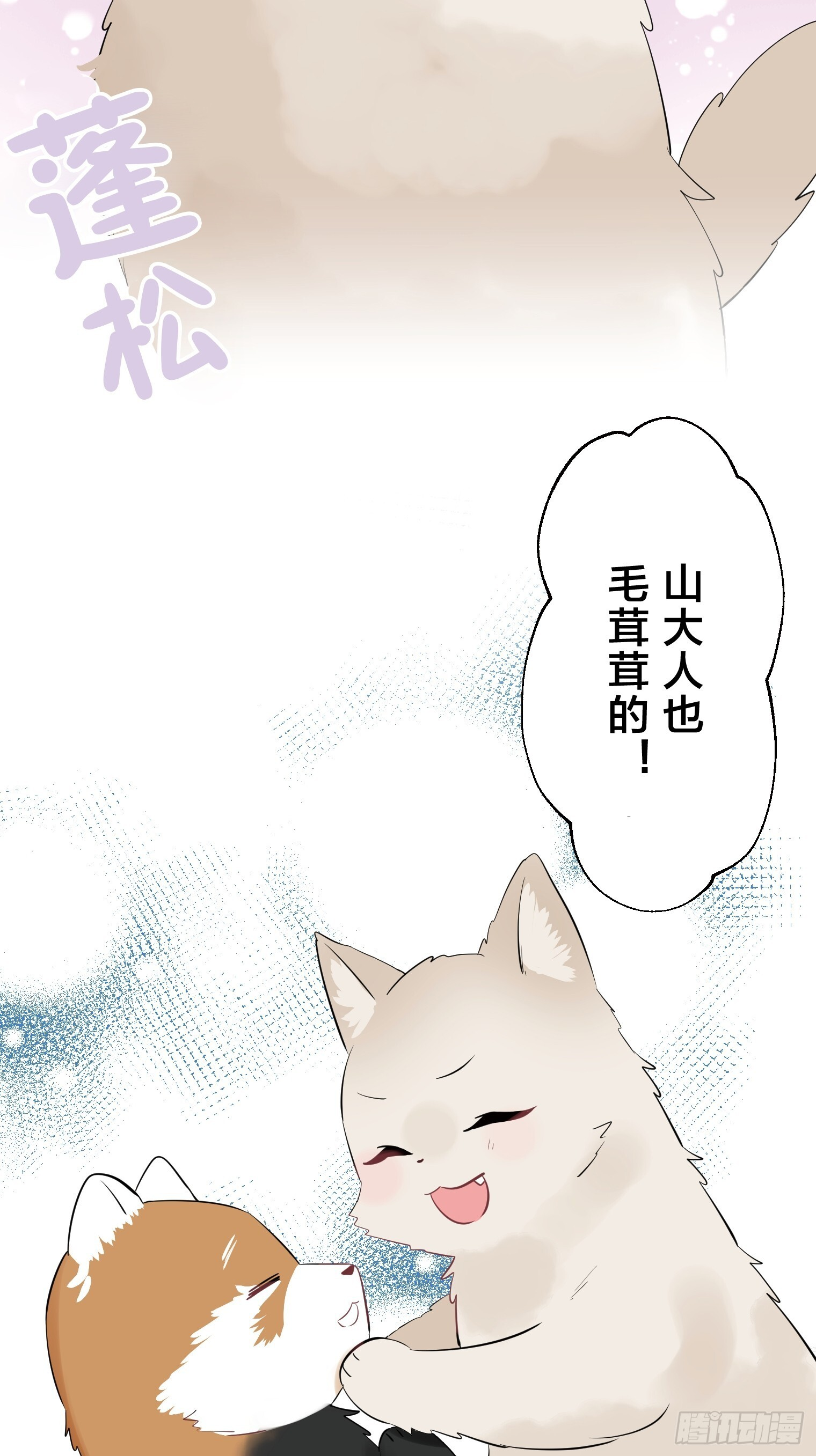 41 第4页
