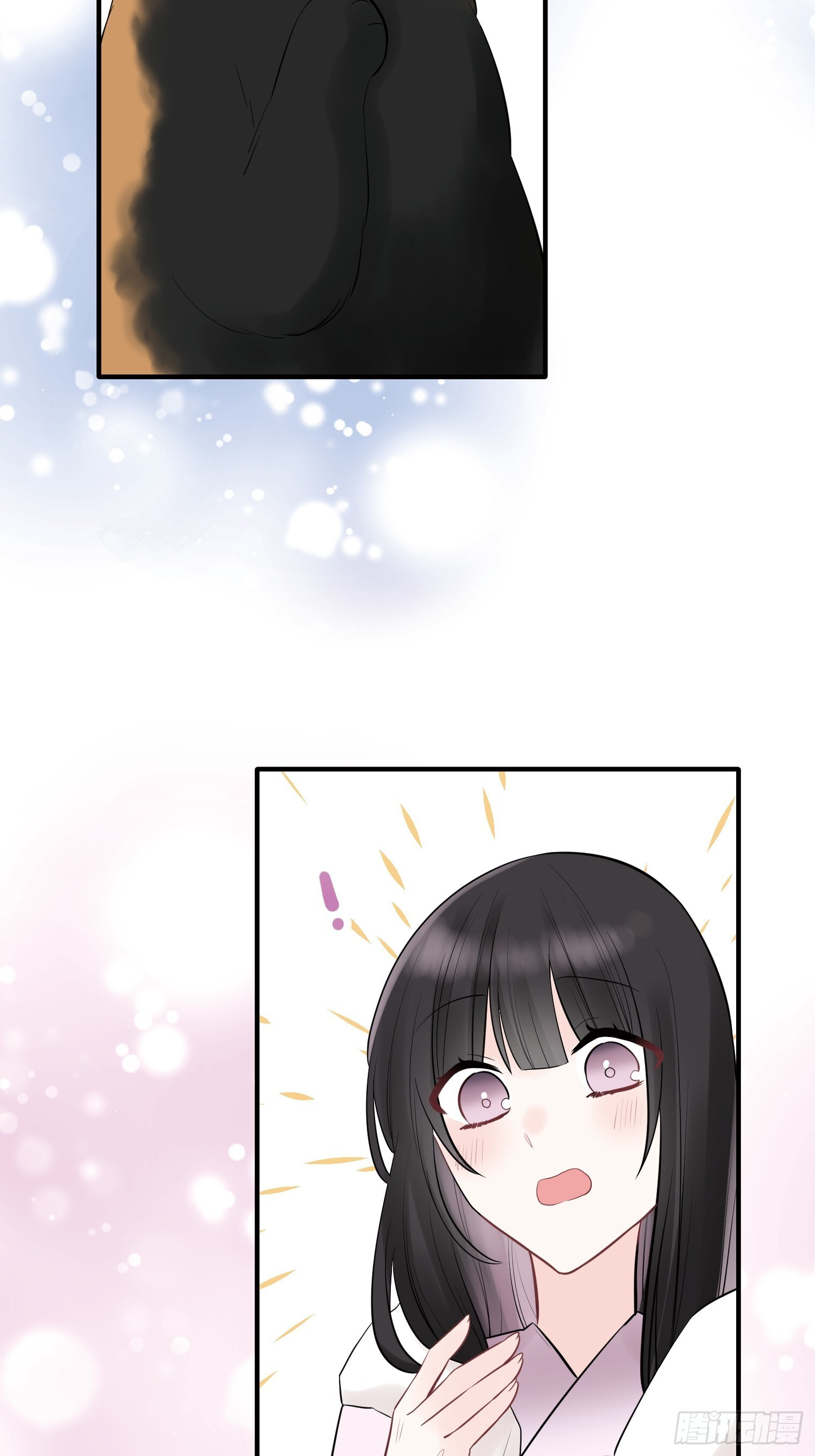 41 第7页