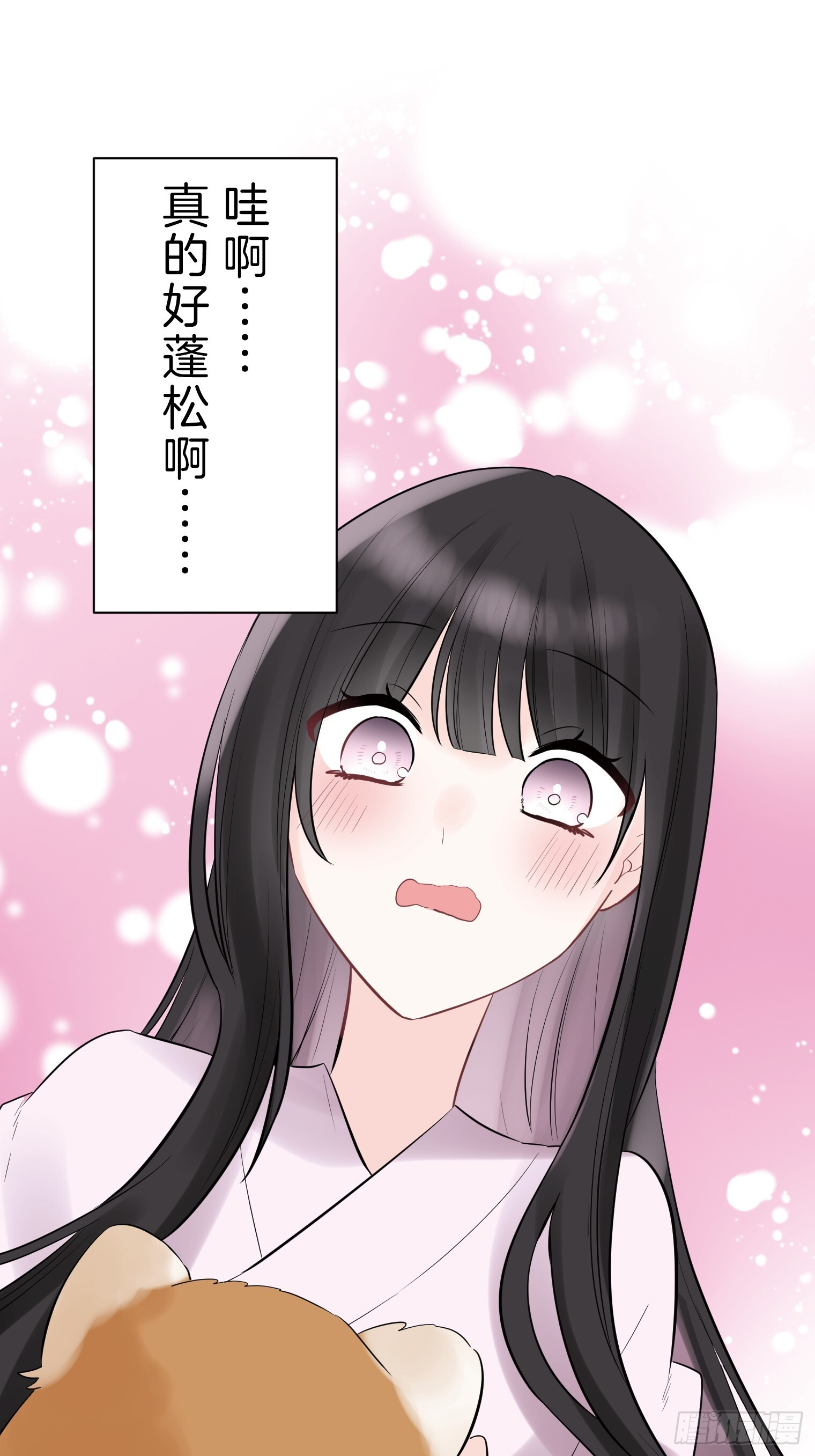 41 第9页