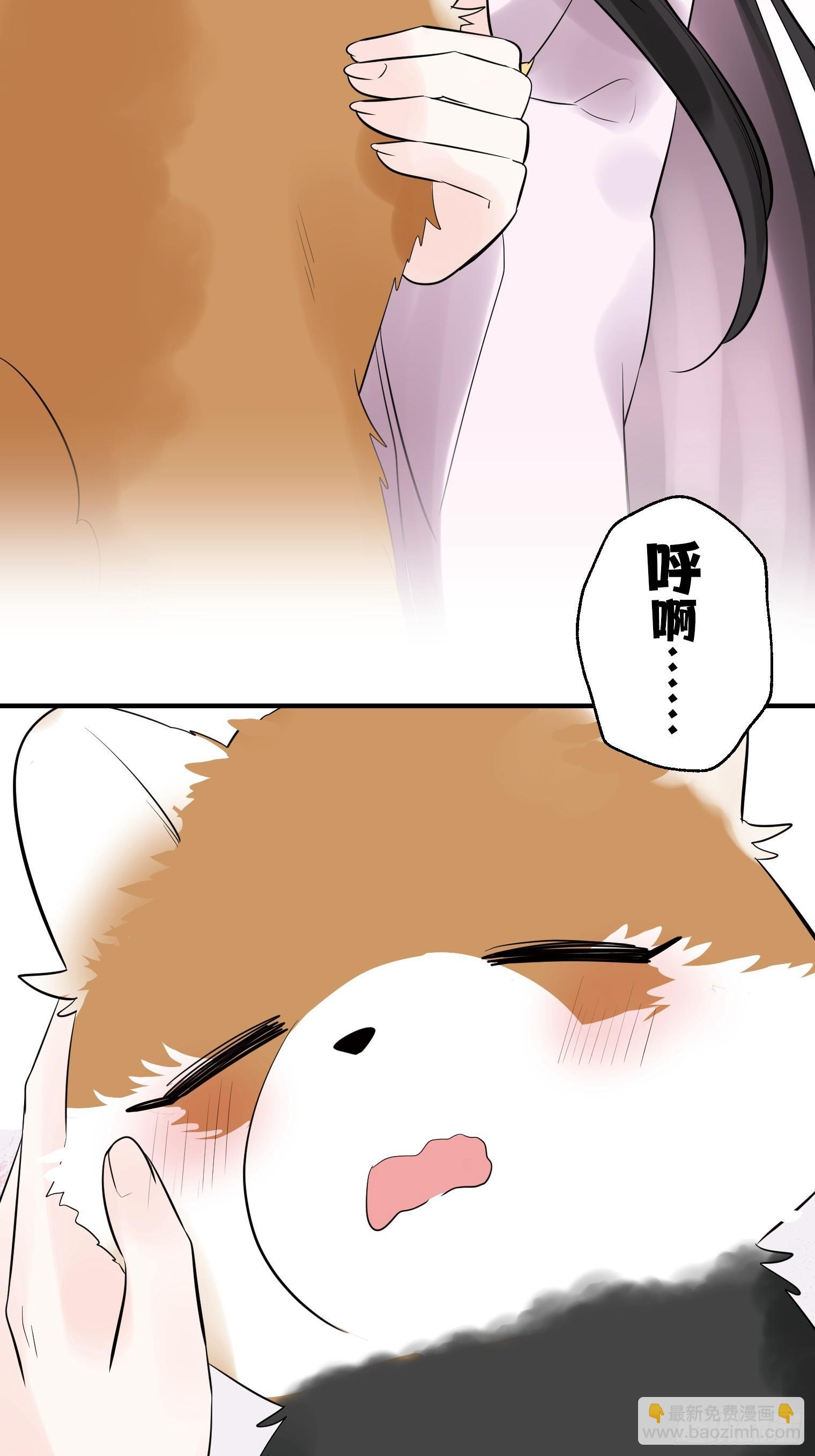 41 第10页
