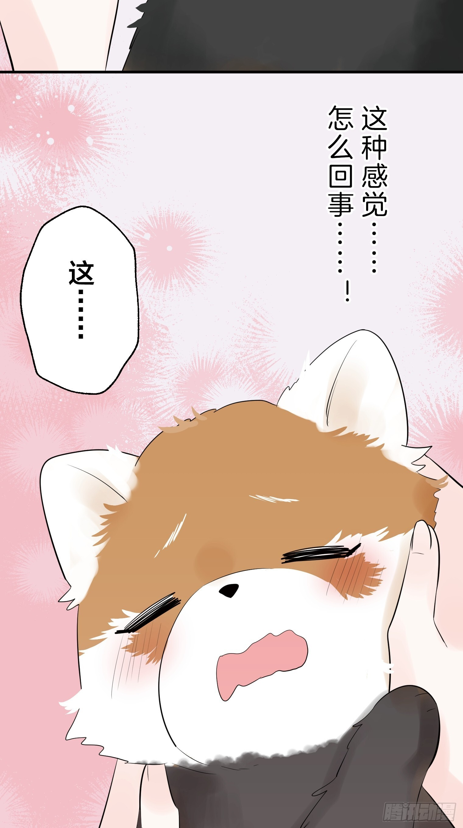41 第11页