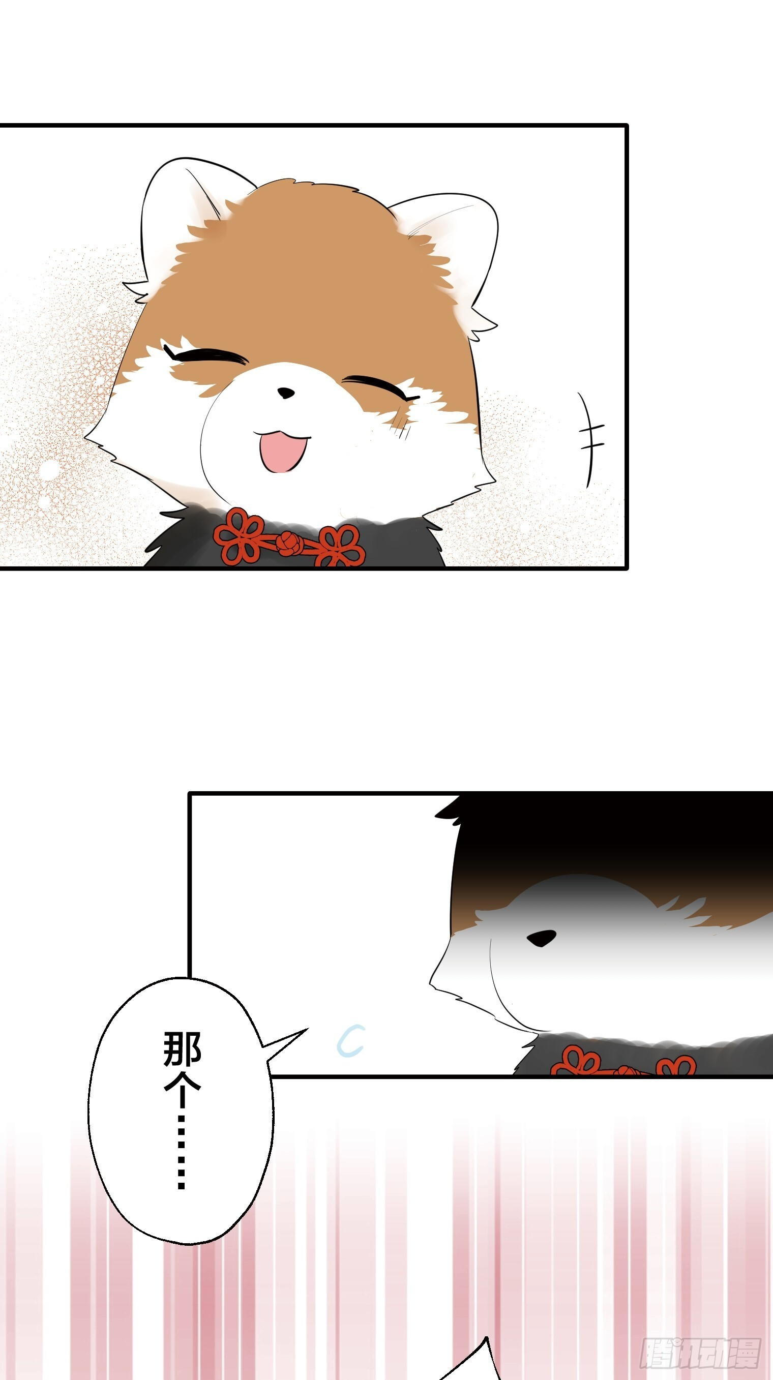 41 第20页