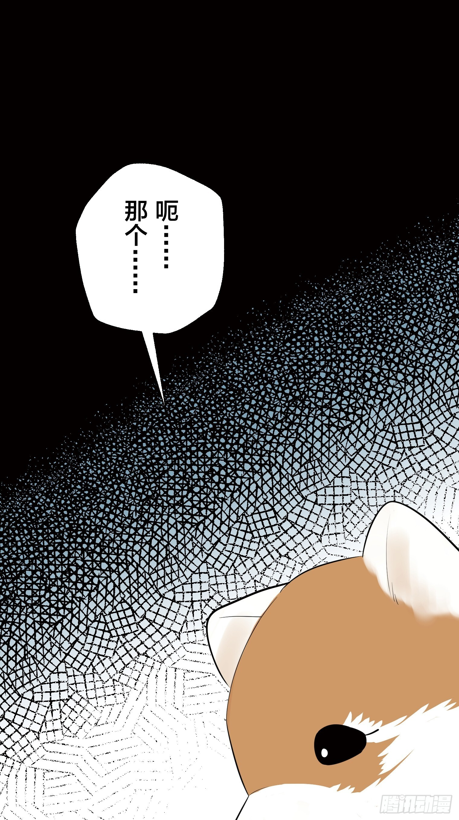 41 第24页