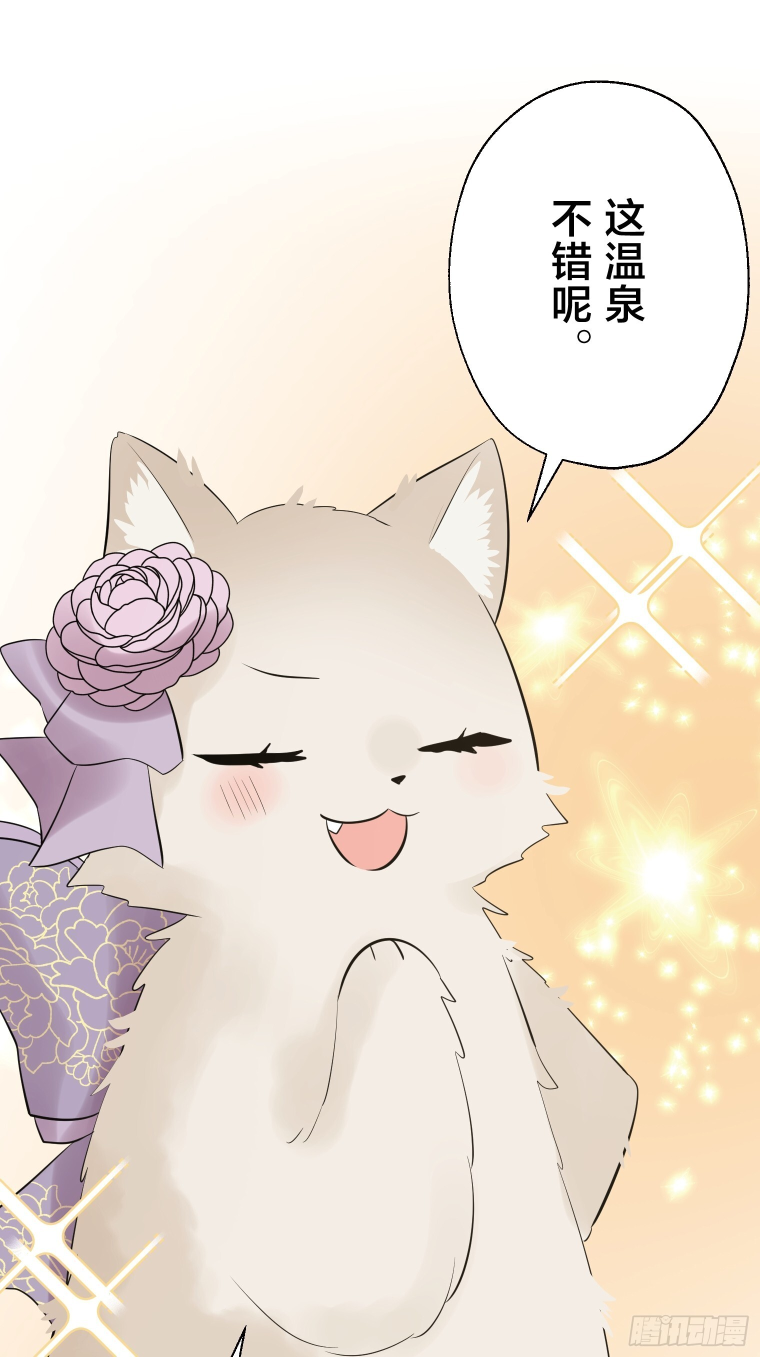 41 第31页