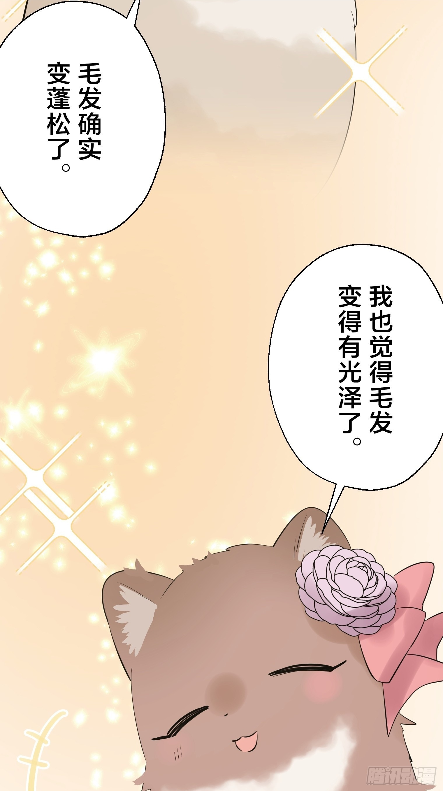 41 第32页