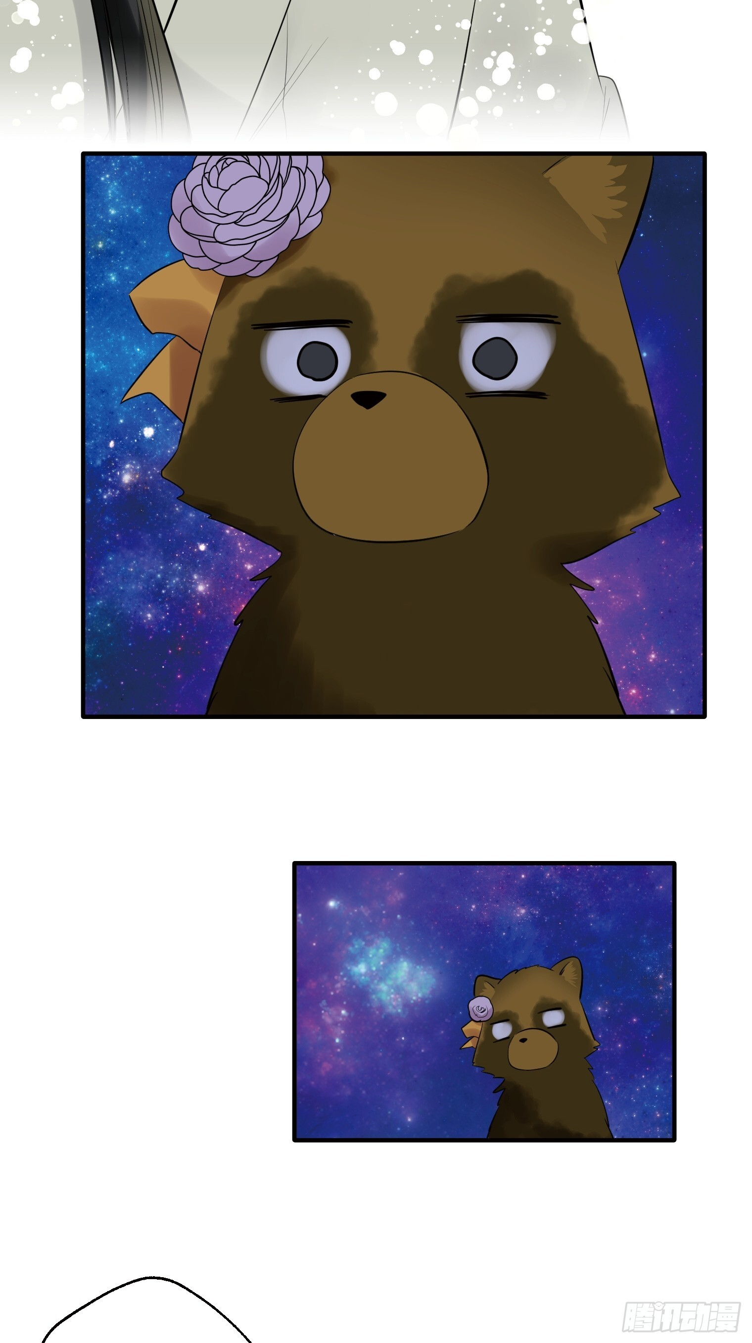 41 第36页