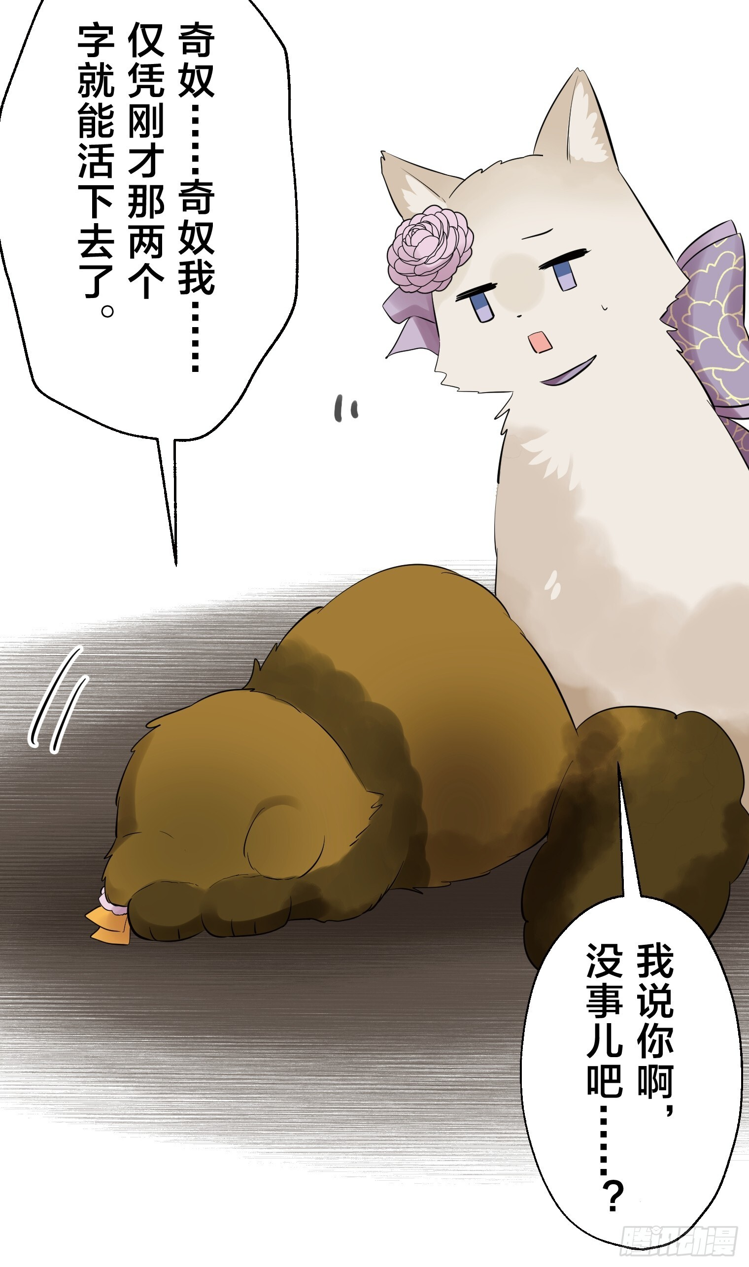 41 第37页
