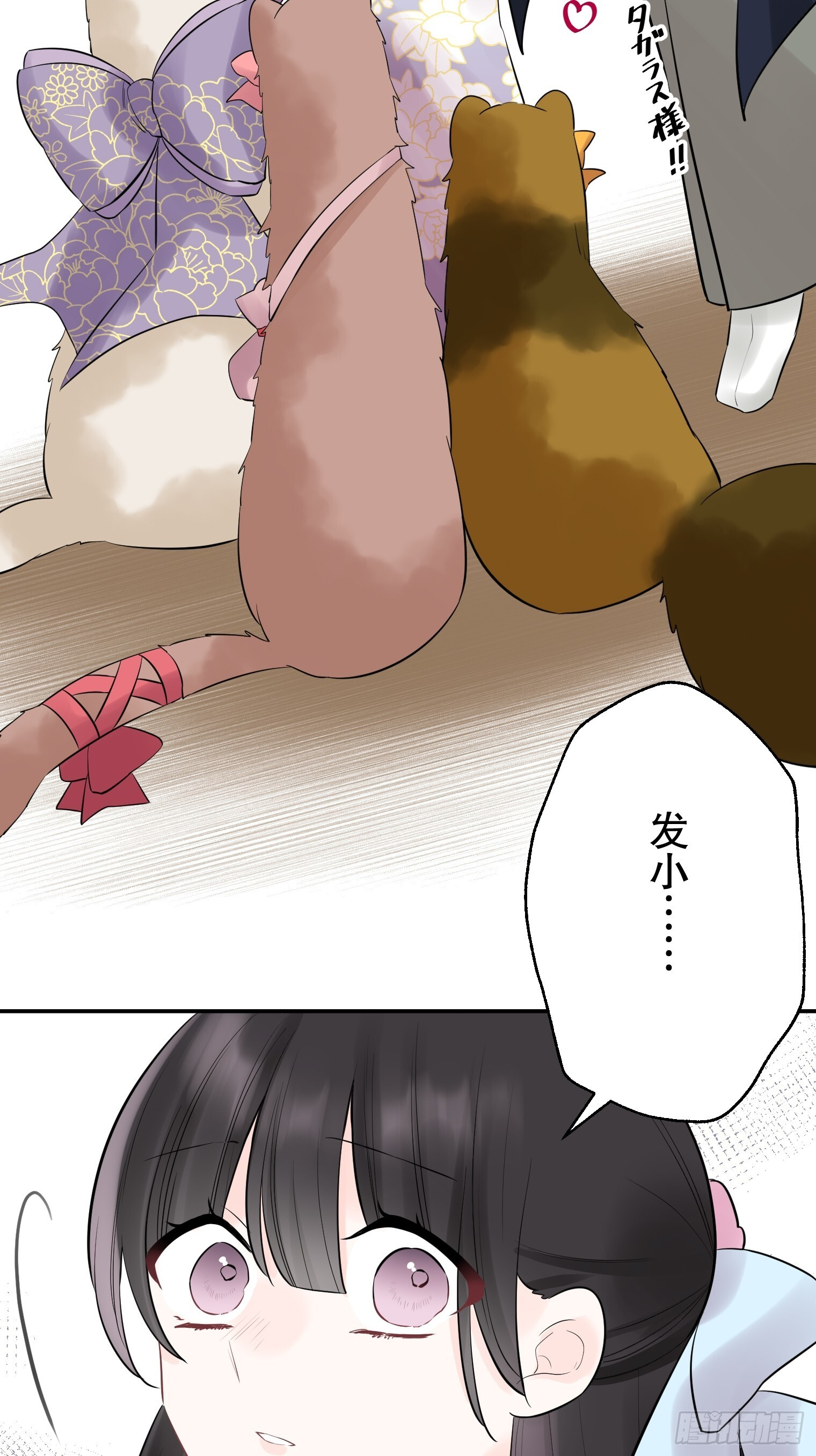 43 第19页