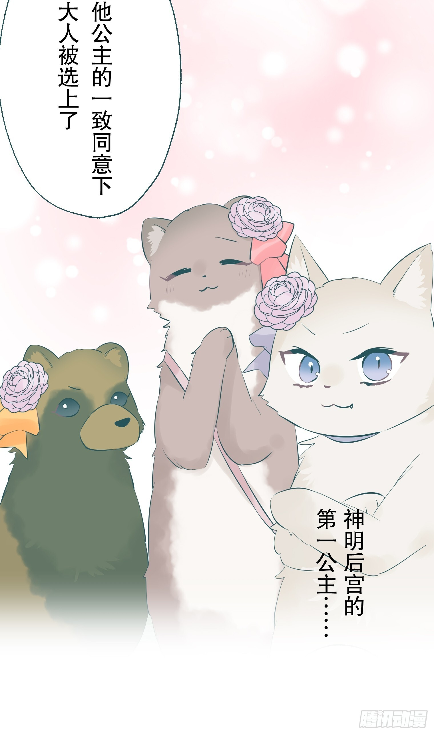43 第37页