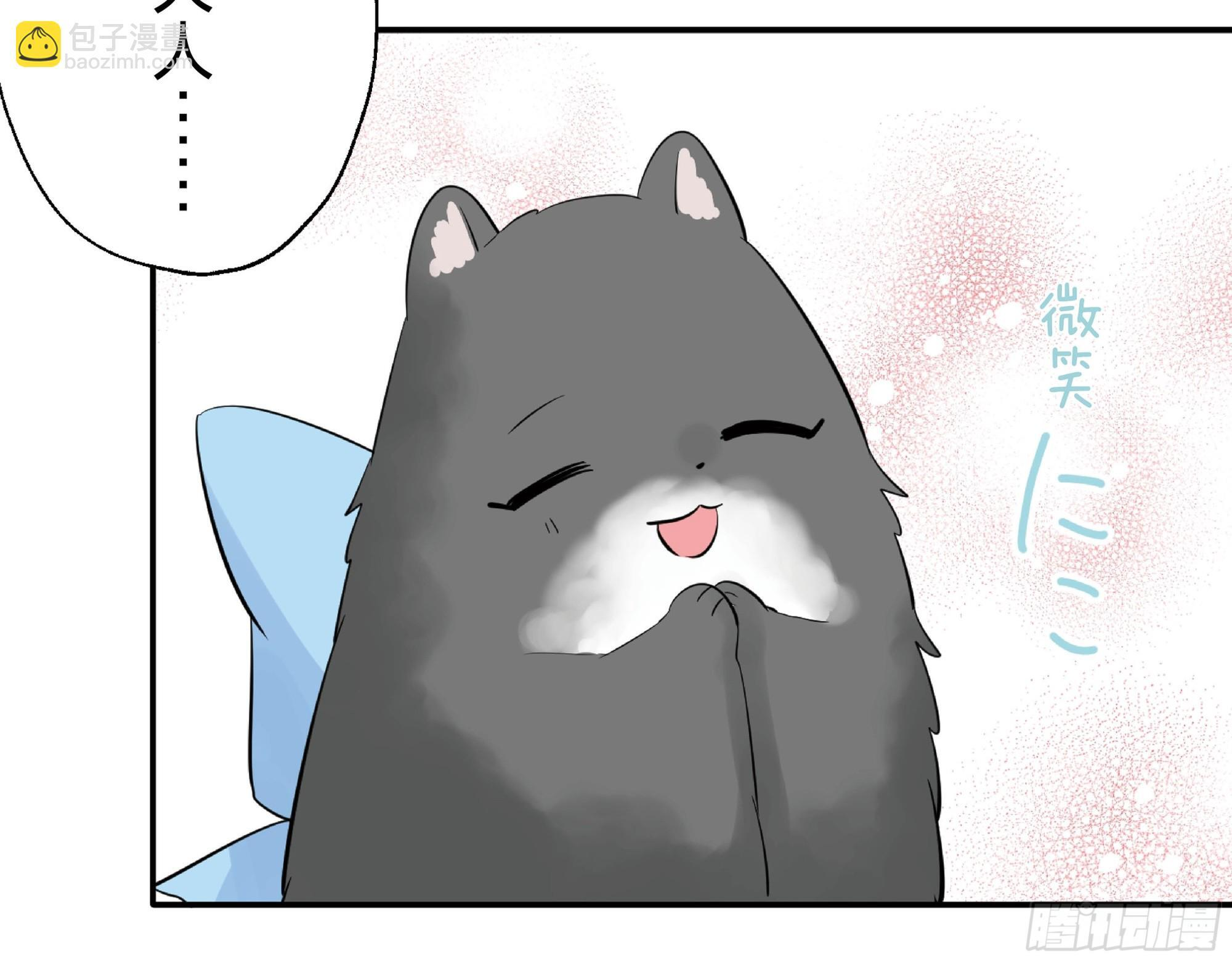 45 第25页