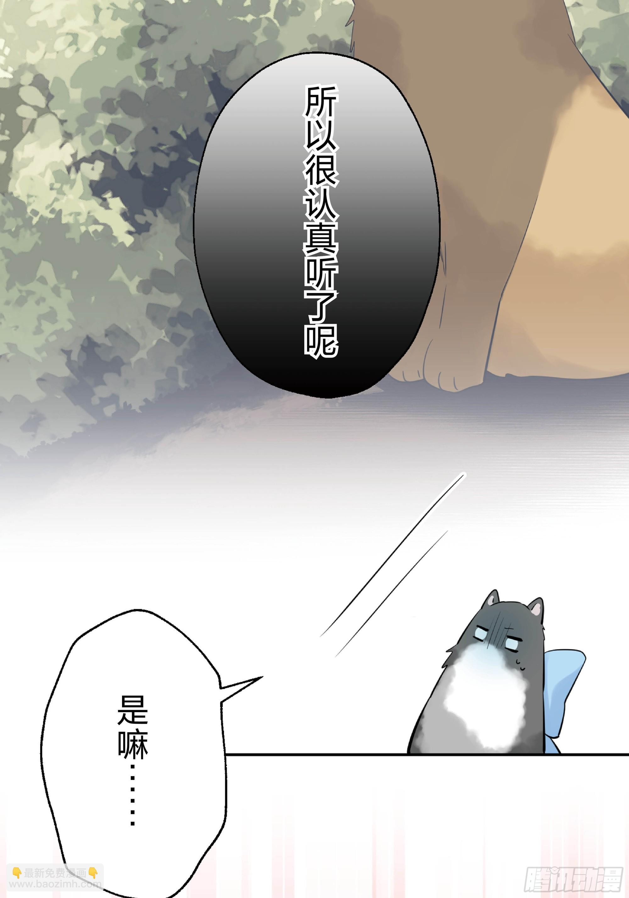 45 第31页