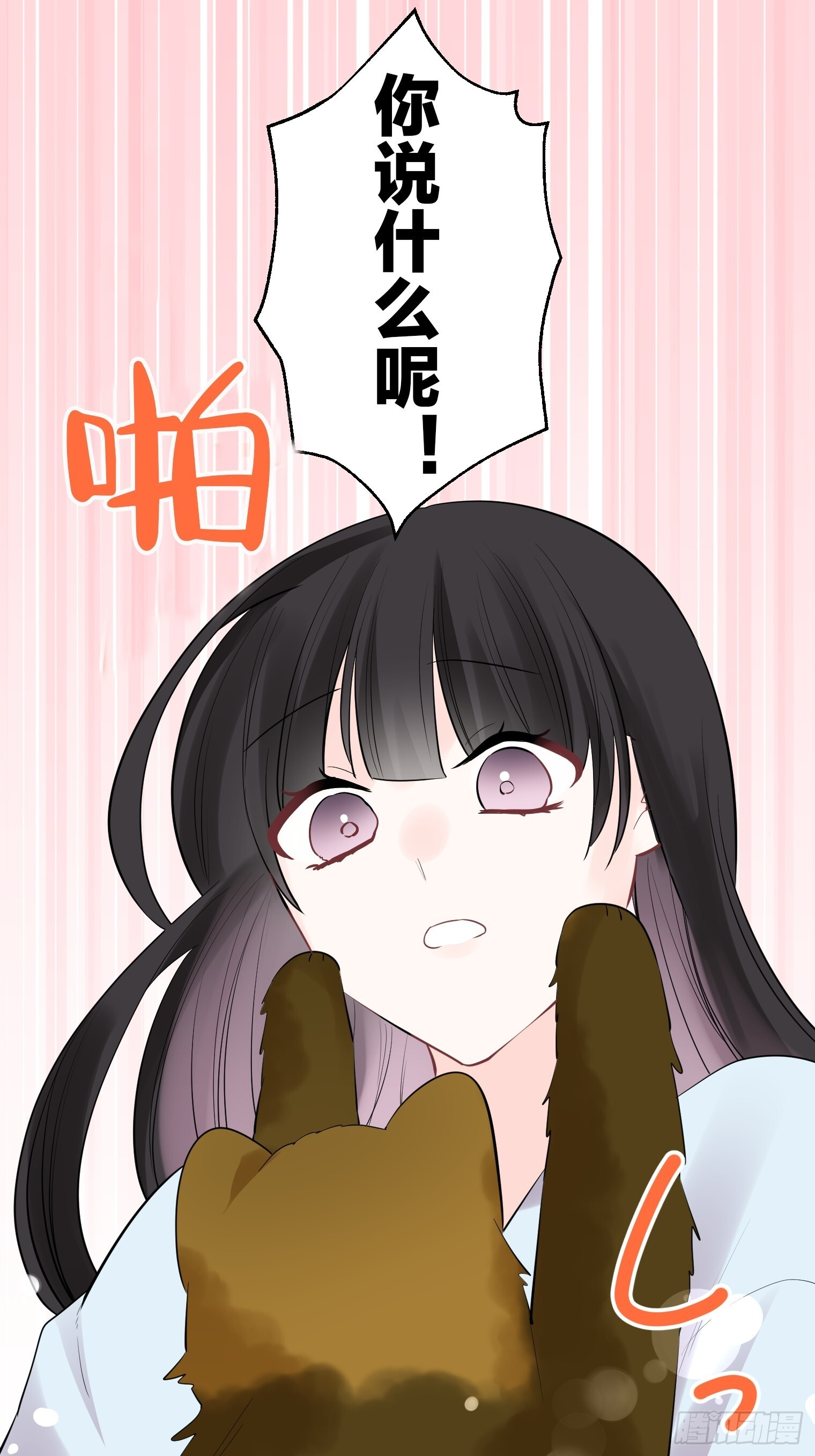 47 第11页