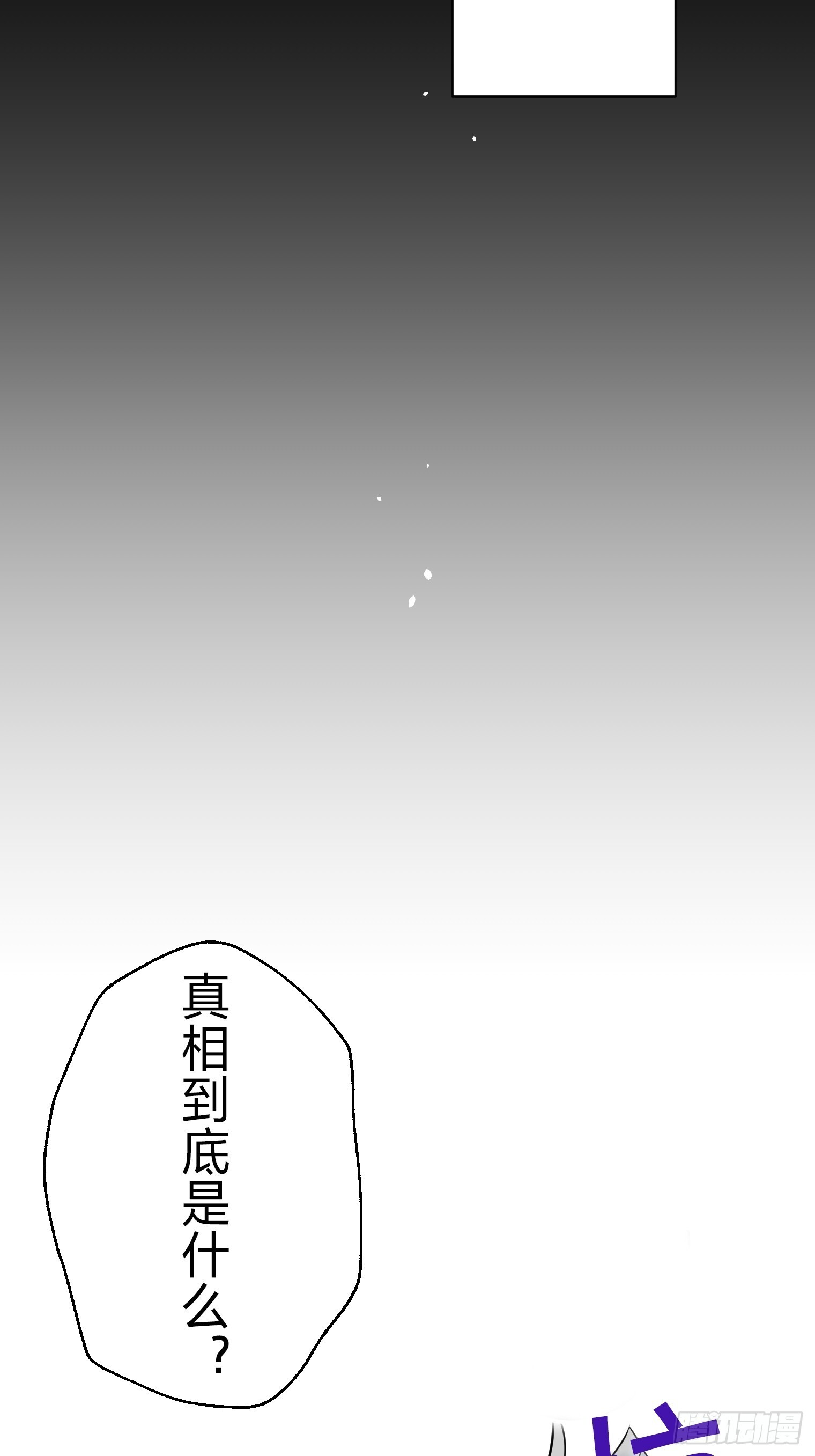 48 第3页