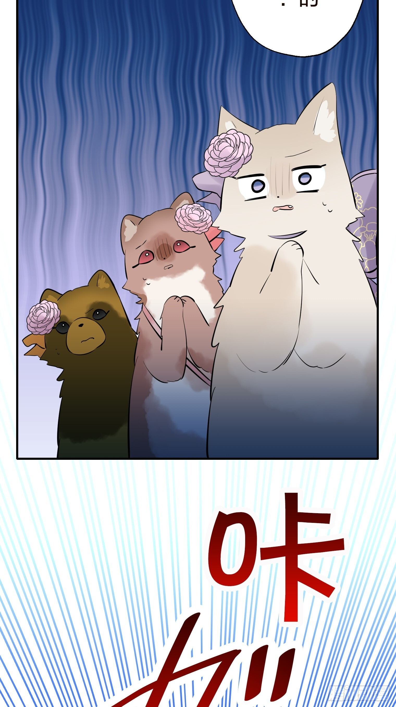 49 第13页