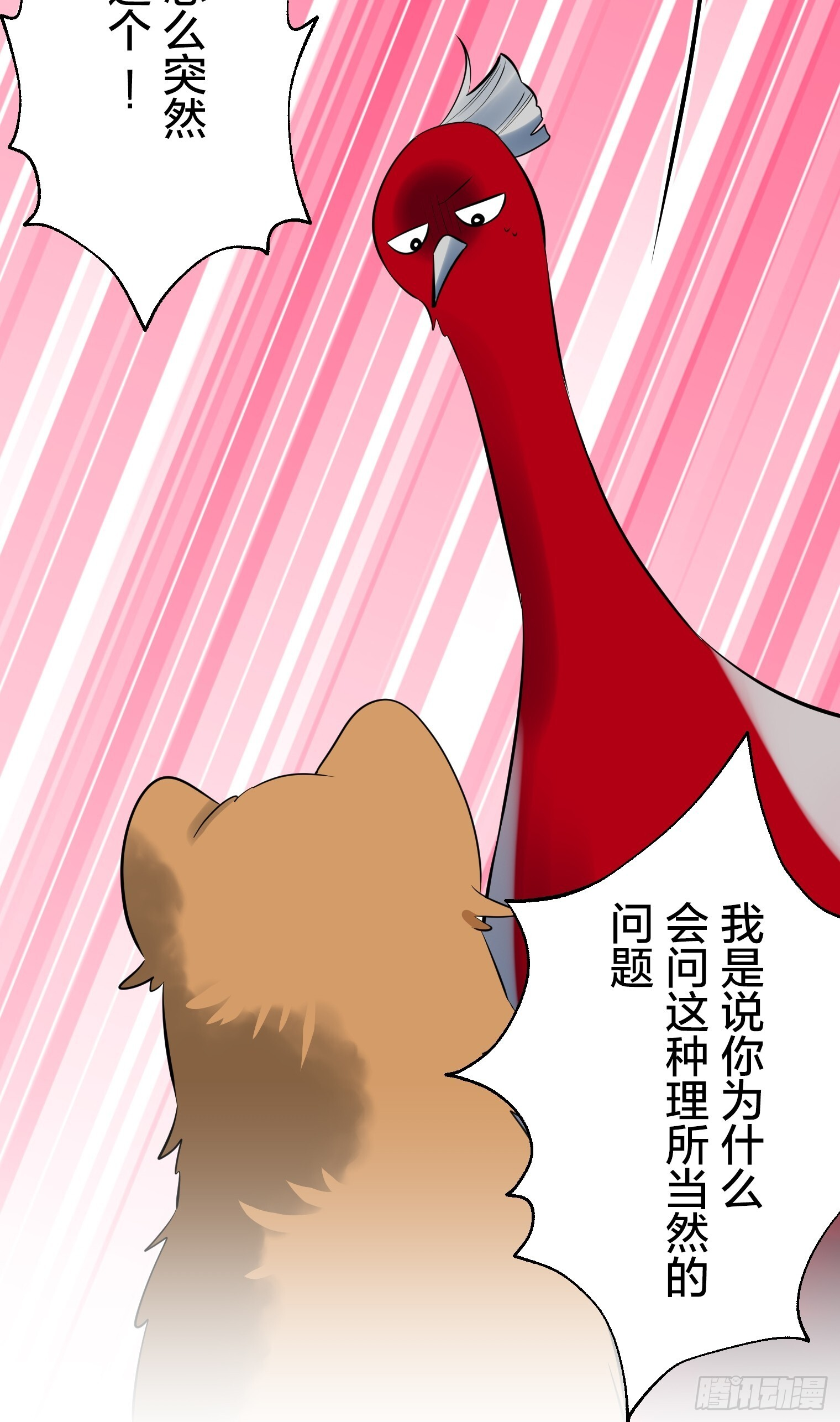 51 第35页