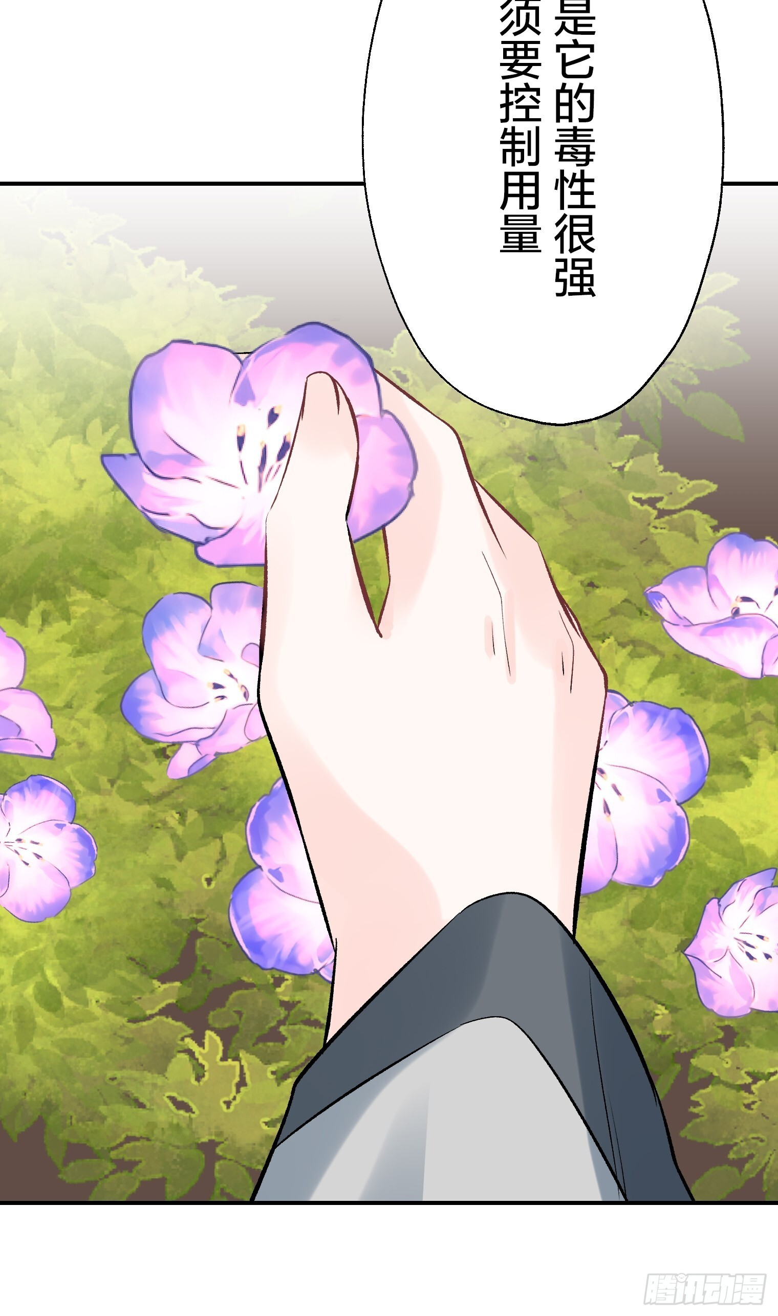 54 第10页