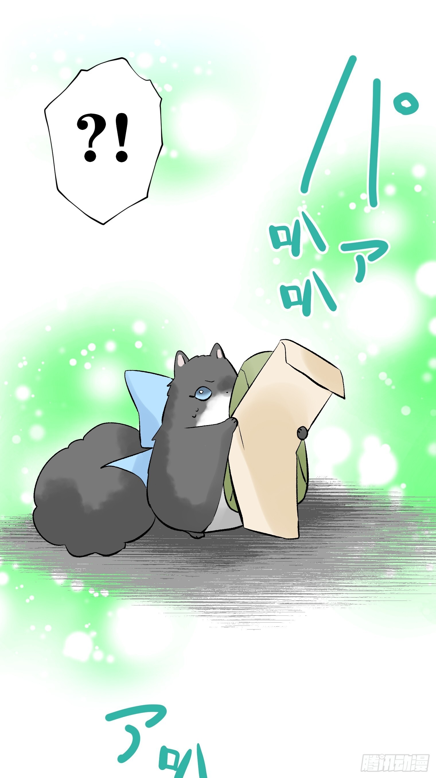 55 第11页