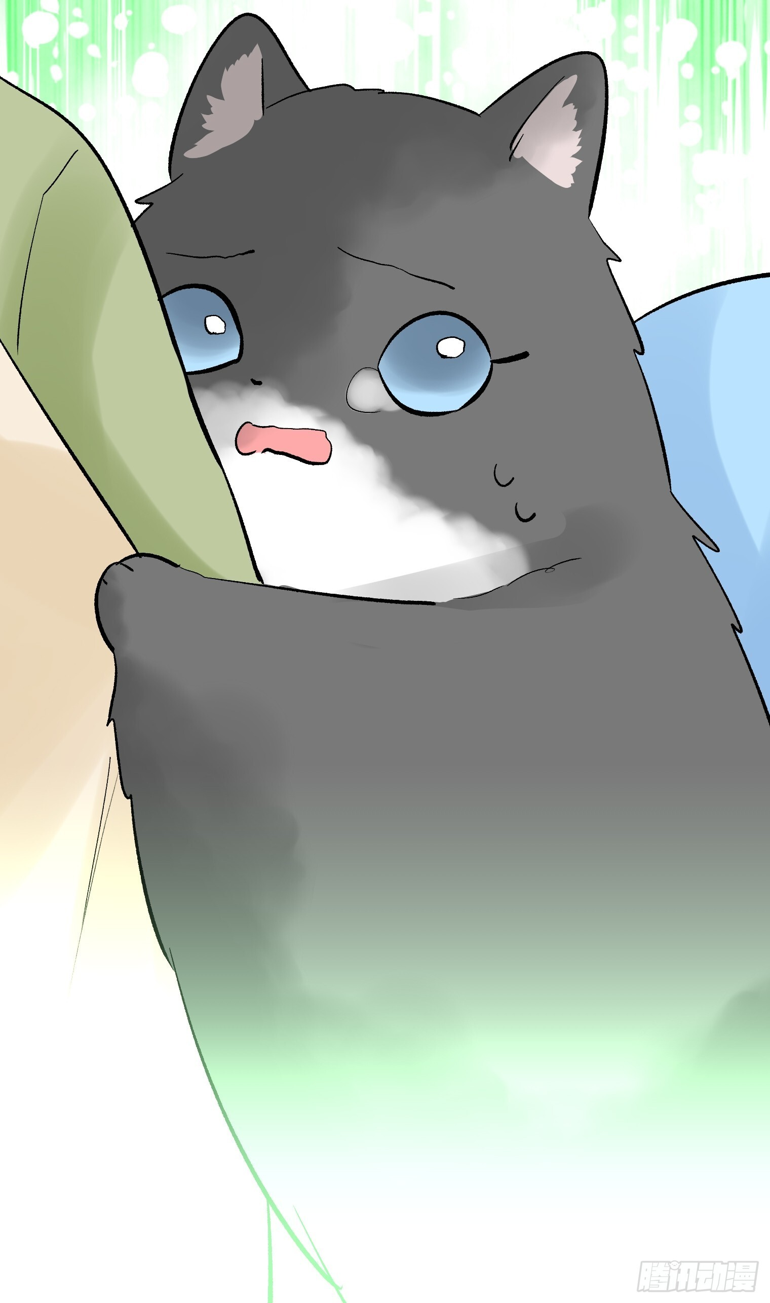 55 第13页