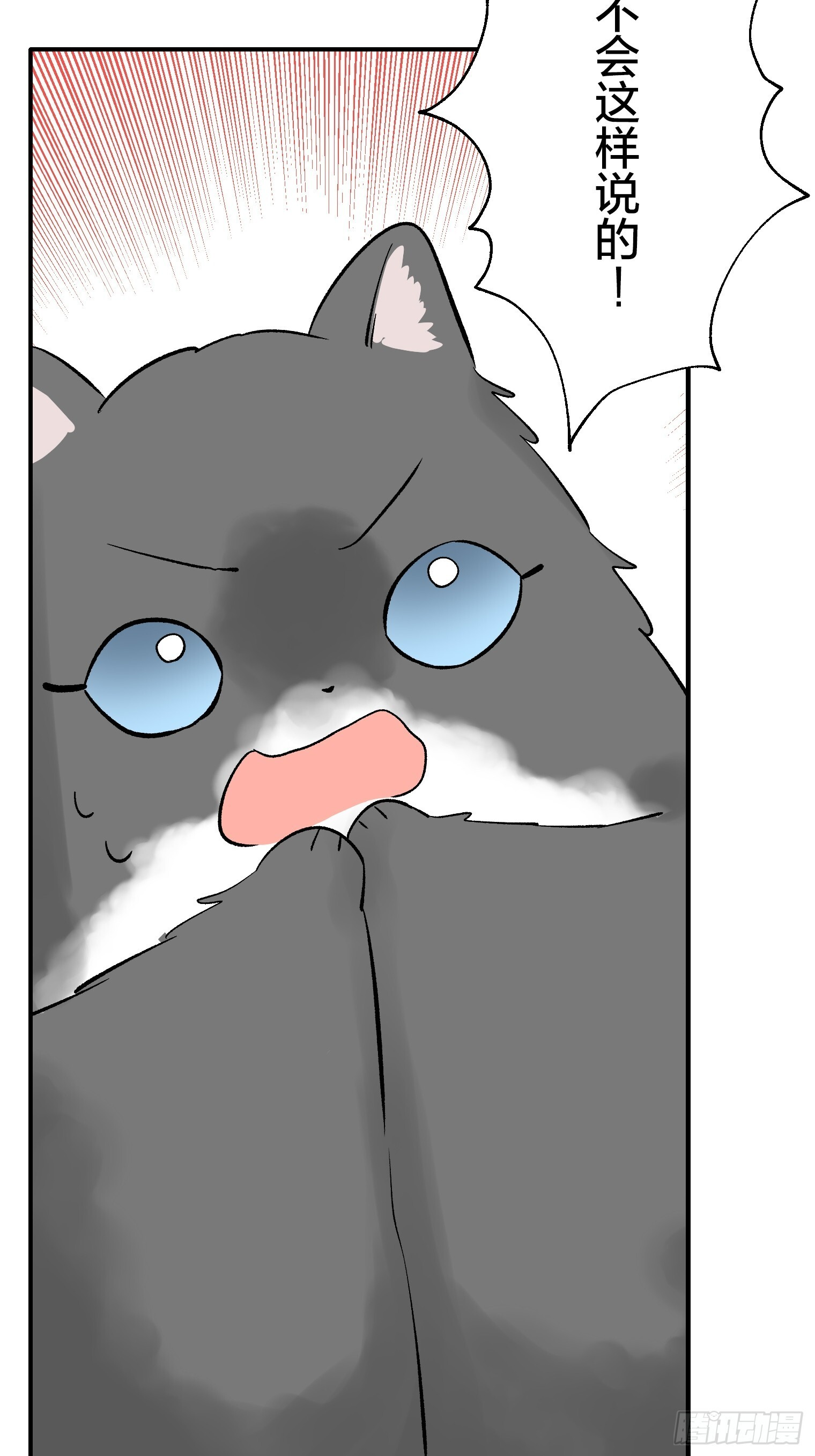 55 第29页