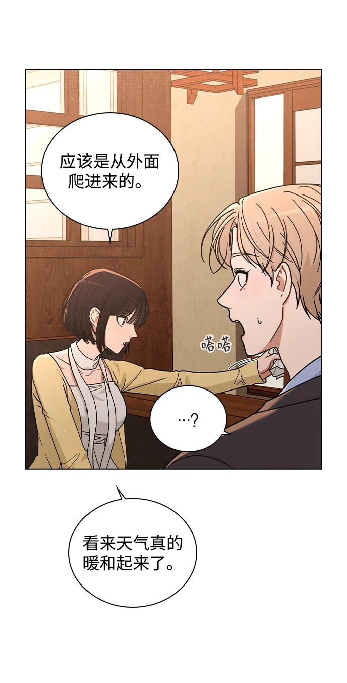 第35话 反转魅力 第38页