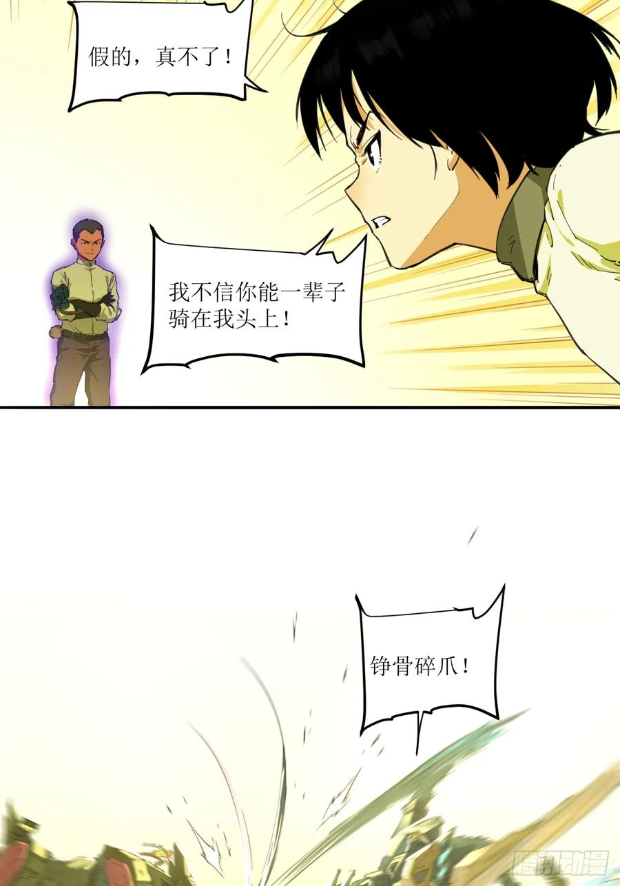 032 觉醒与苏醒 第12页
