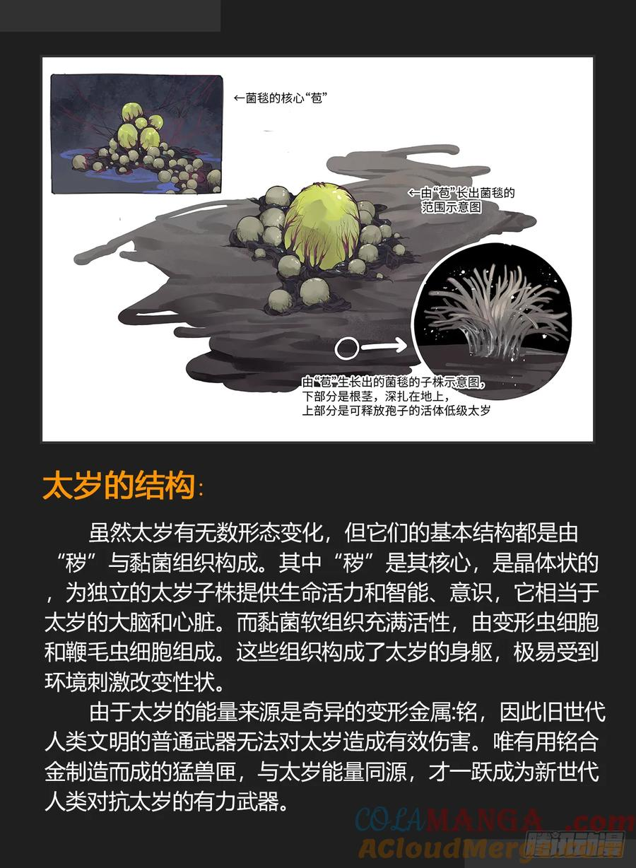 太岁大盘点与端午活动 第3页