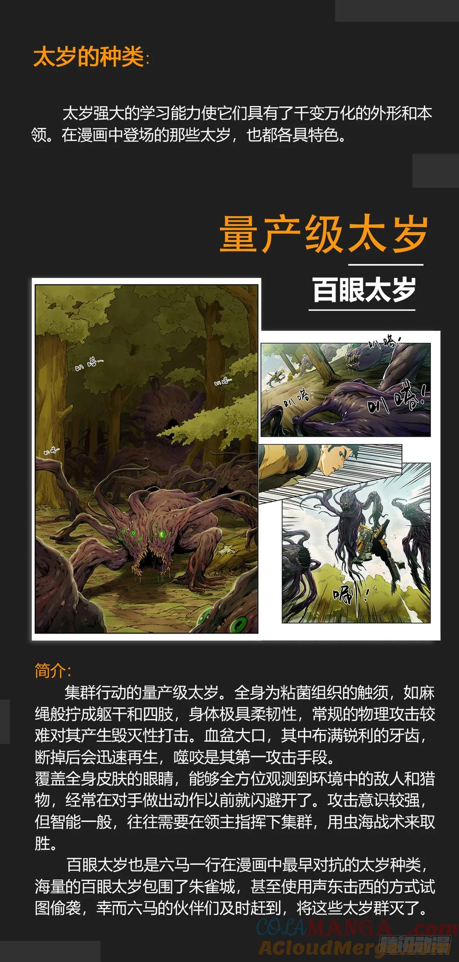 太岁大盘点与端午活动 第4页