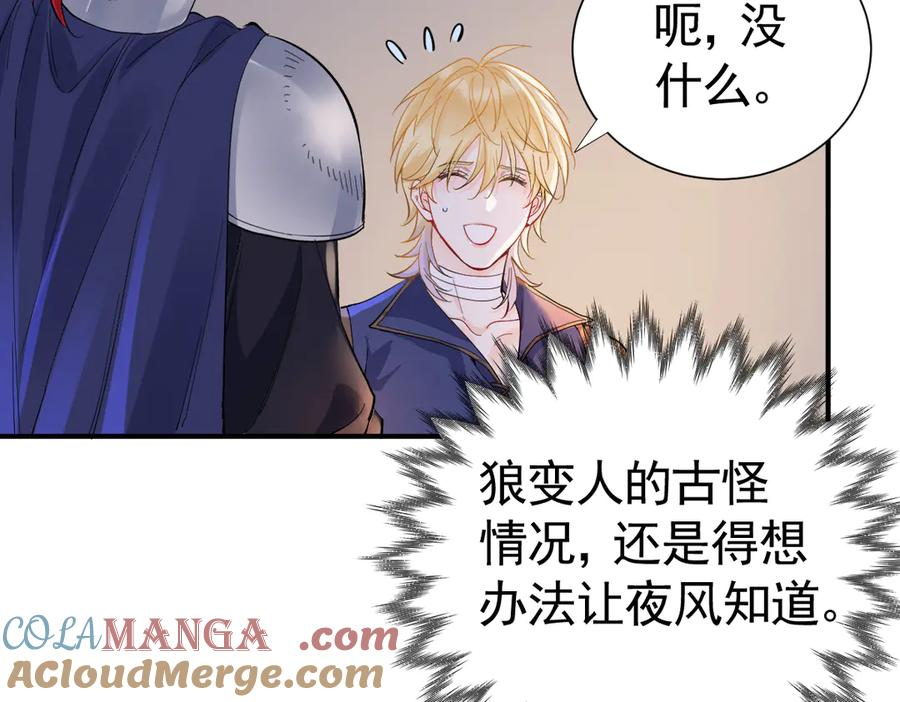 31-我成了夜风的亲卫 第73页