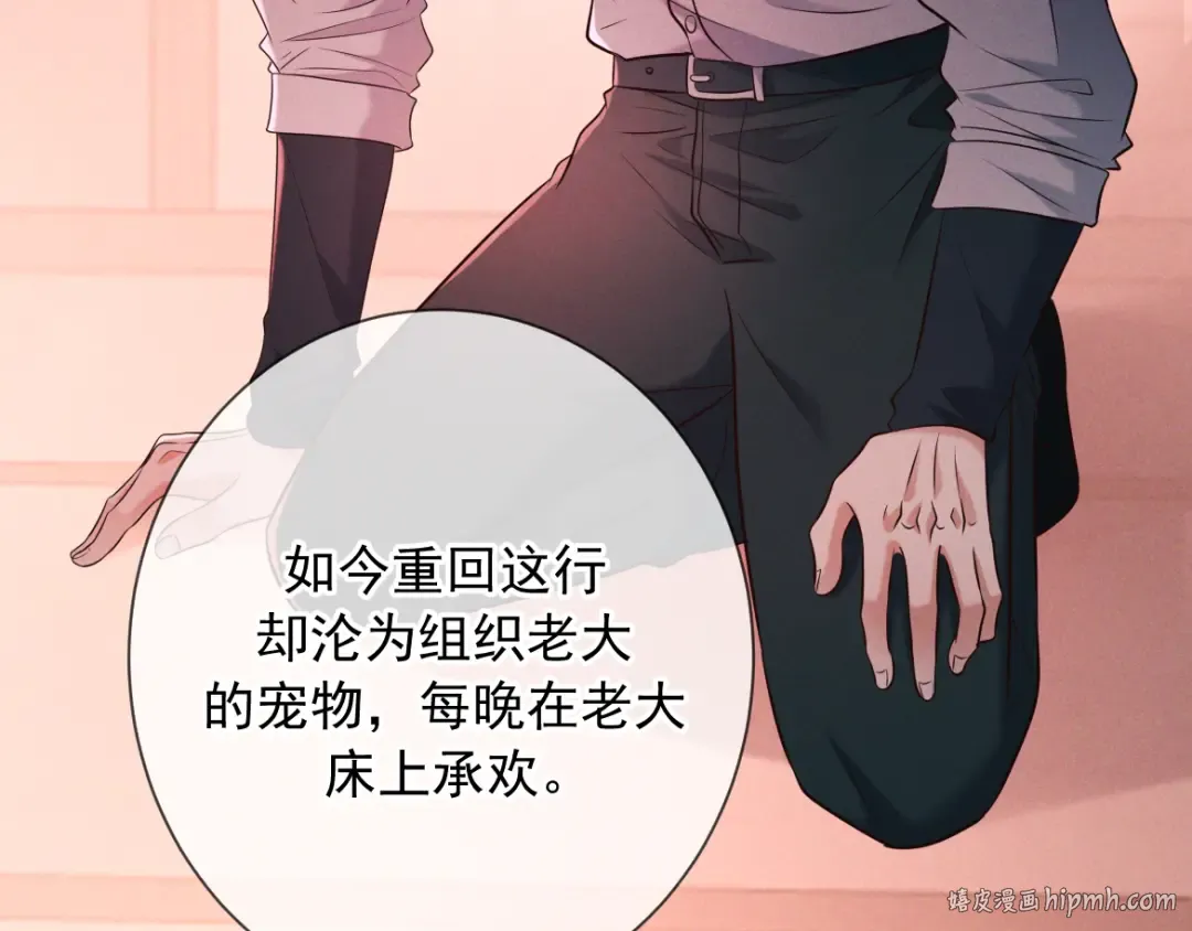 第27话 信息素安抚 第48页