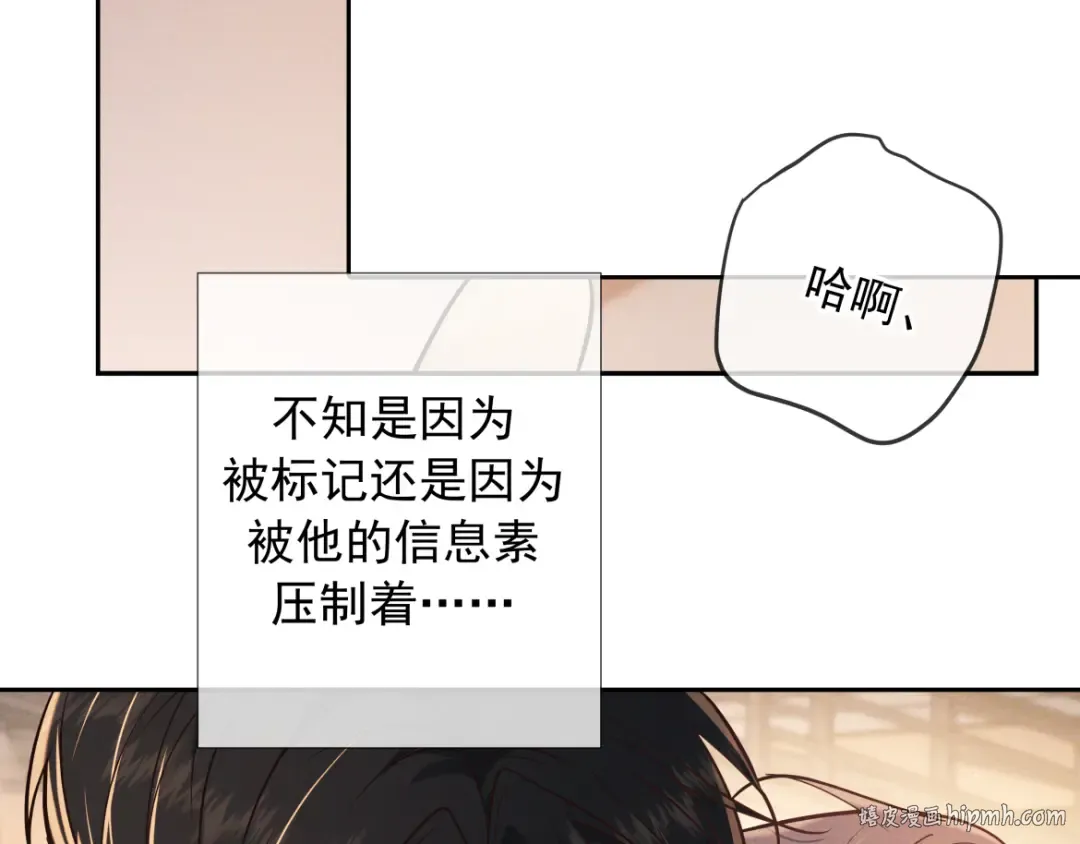 第27话 信息素安抚 第160页