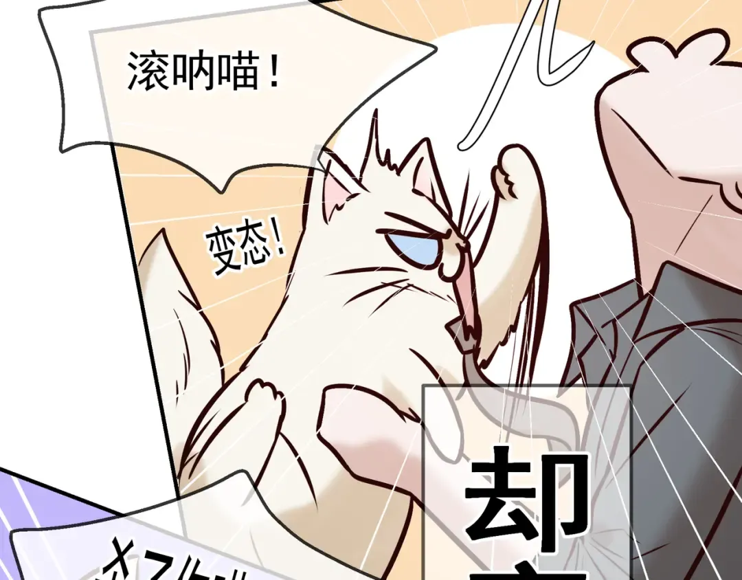 Q版小剧场 荆变猫猫的一天 第6页