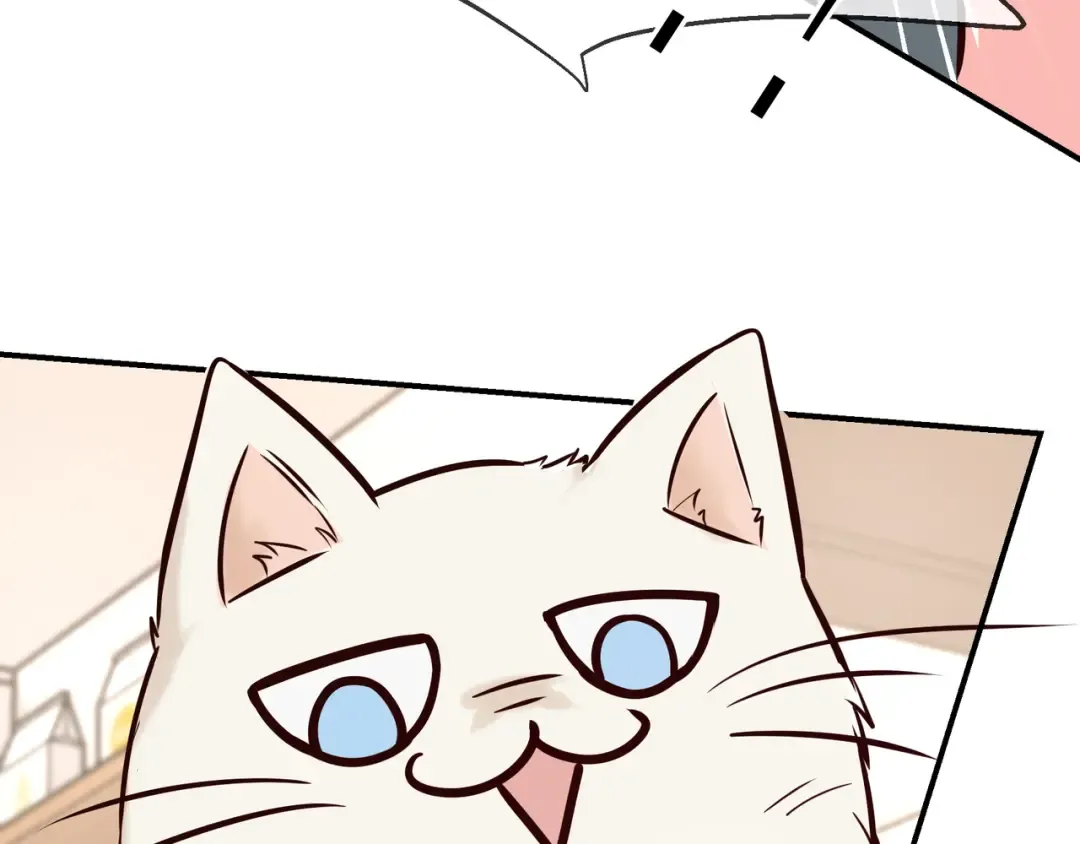 Q版小剧场 荆变猫猫的一天 第10页