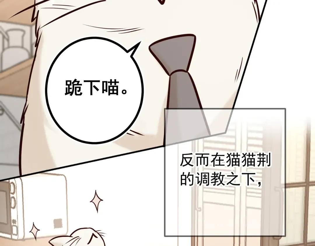 Q版小剧场 荆变猫猫的一天 第11页