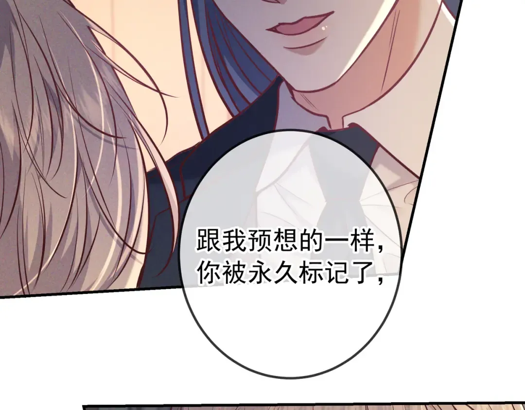 第42话 卡尔法拍卖会 第87页