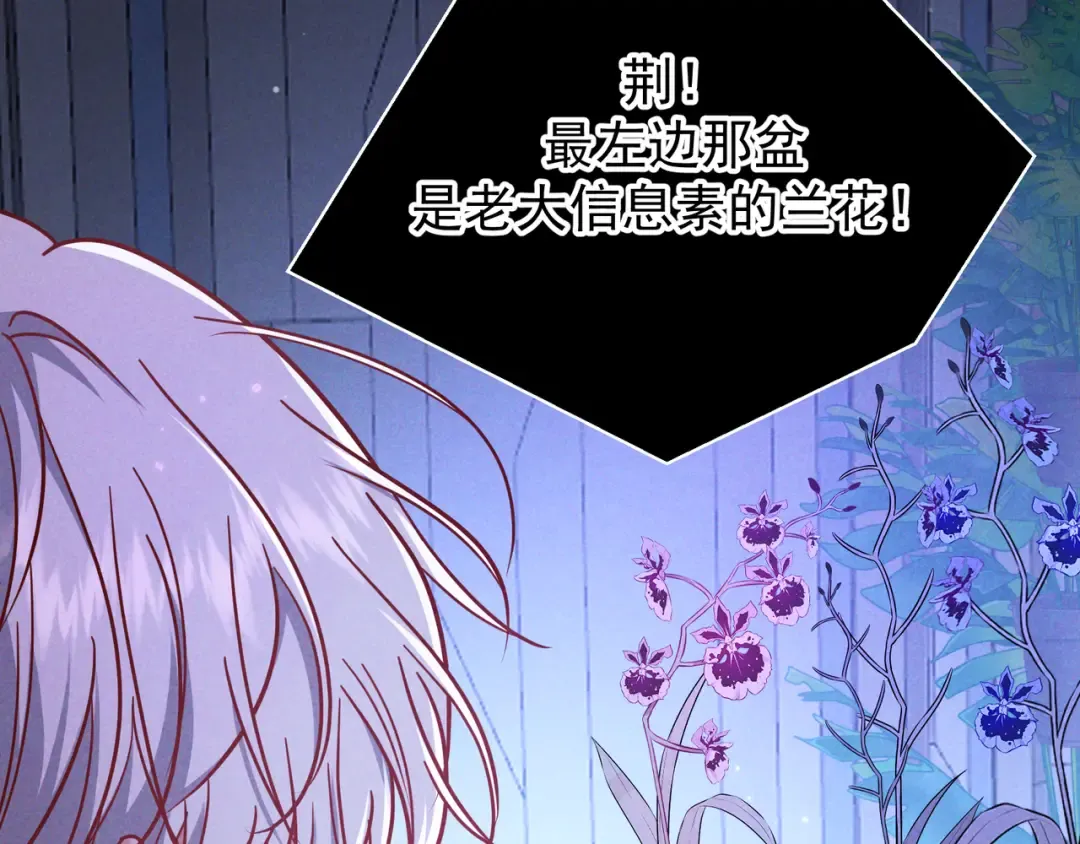 第54话 血色文心兰 第34页