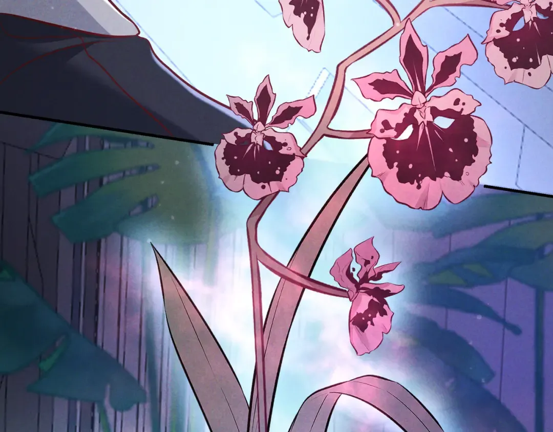 第54话 血色文心兰 第36页