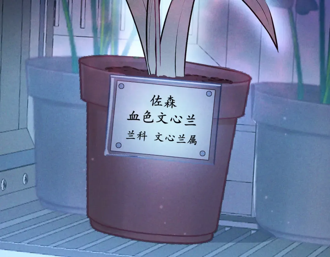 第54话 血色文心兰 第37页